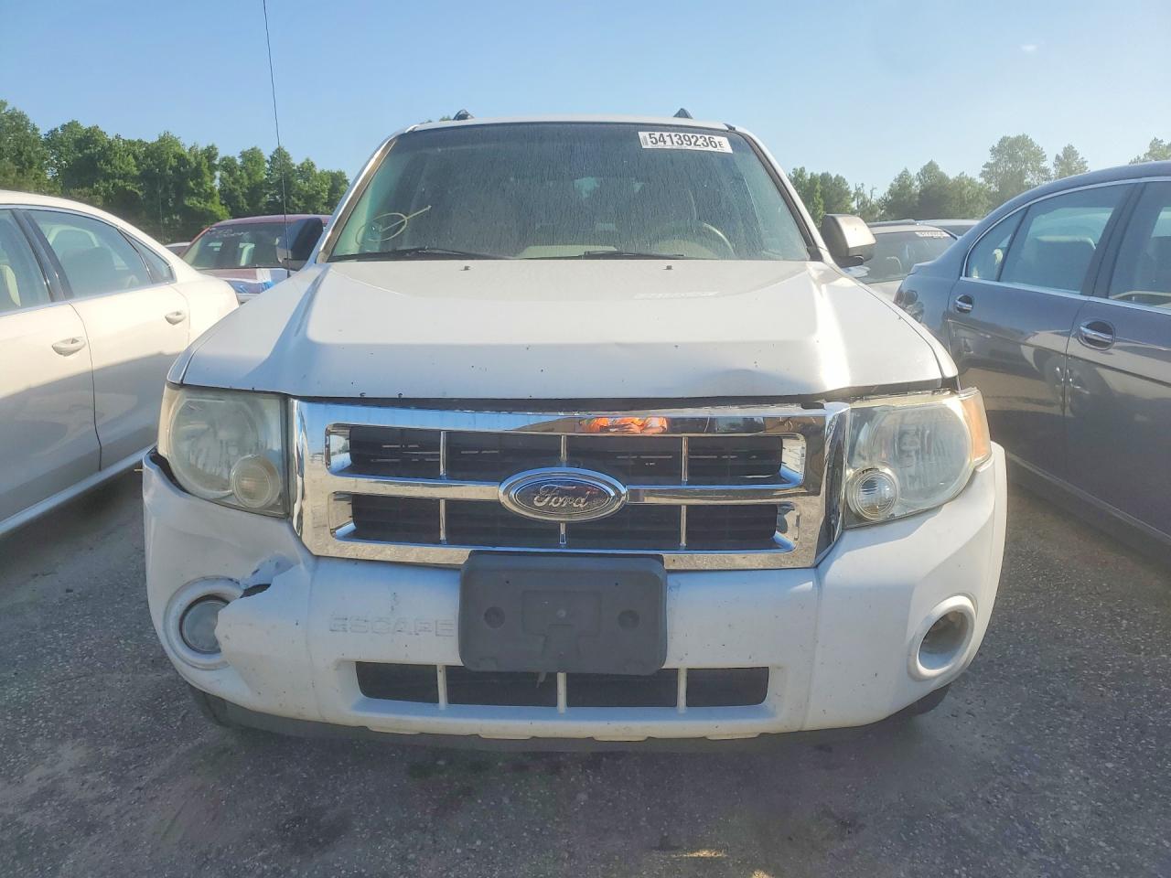 2008 Ford Escape Xlt Белый vin: 1FMCU03168KC00656