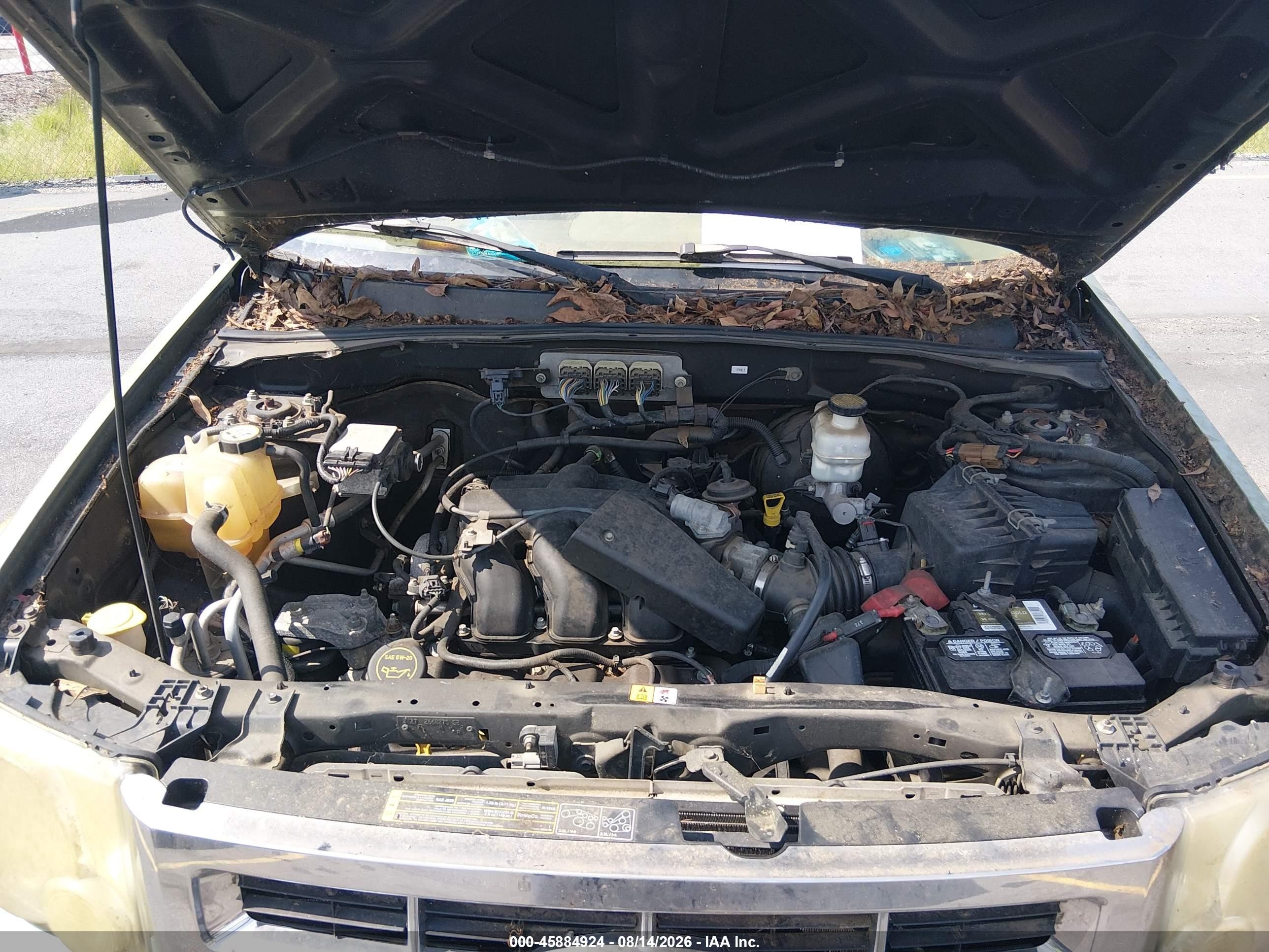 2008 Ford Escape Xlt Green vin: 1FMCU03178KB49975