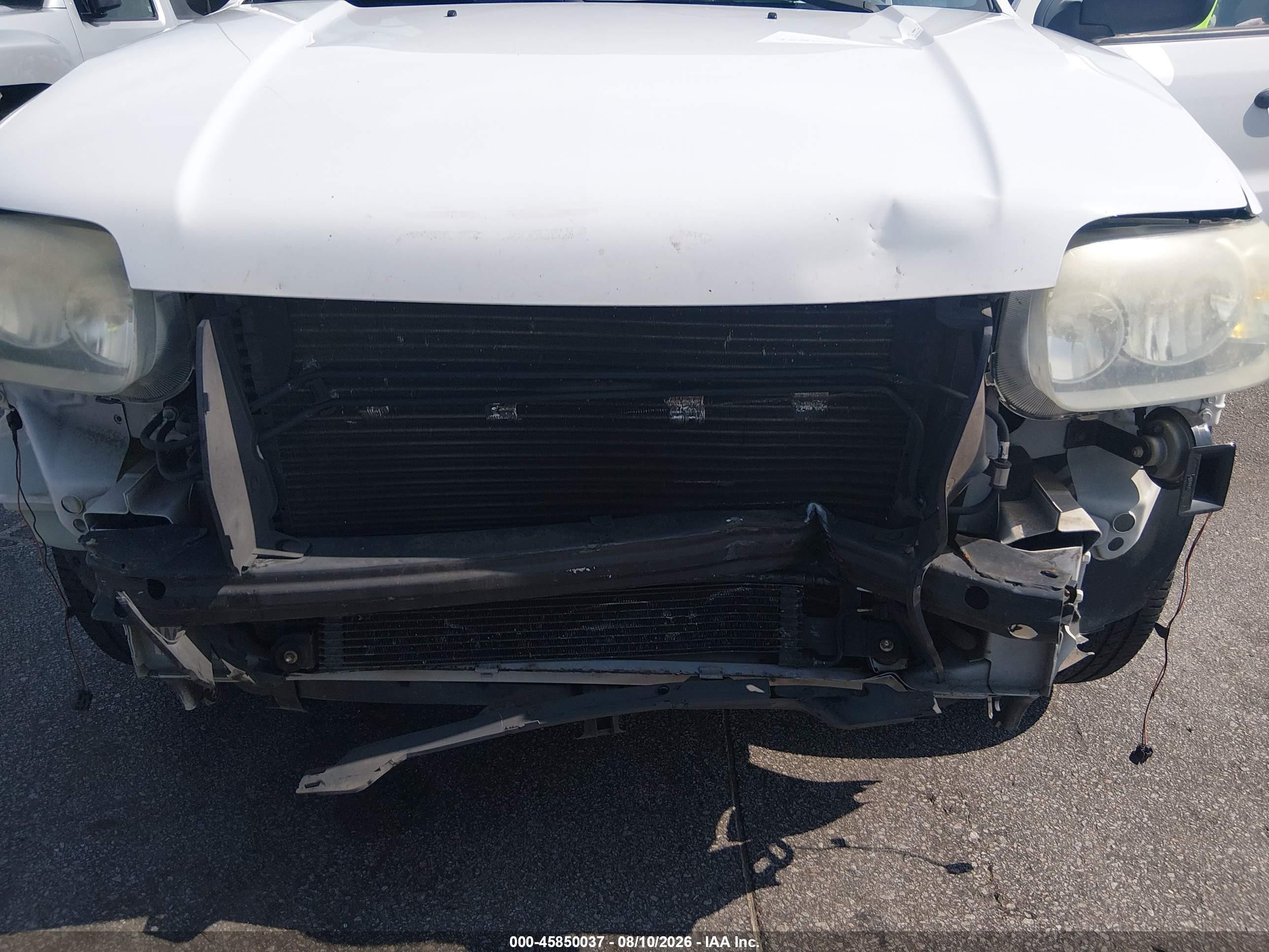 2007 Ford Escape Xlt/xlt Sport White vin: 1FMCU031X7KB87957