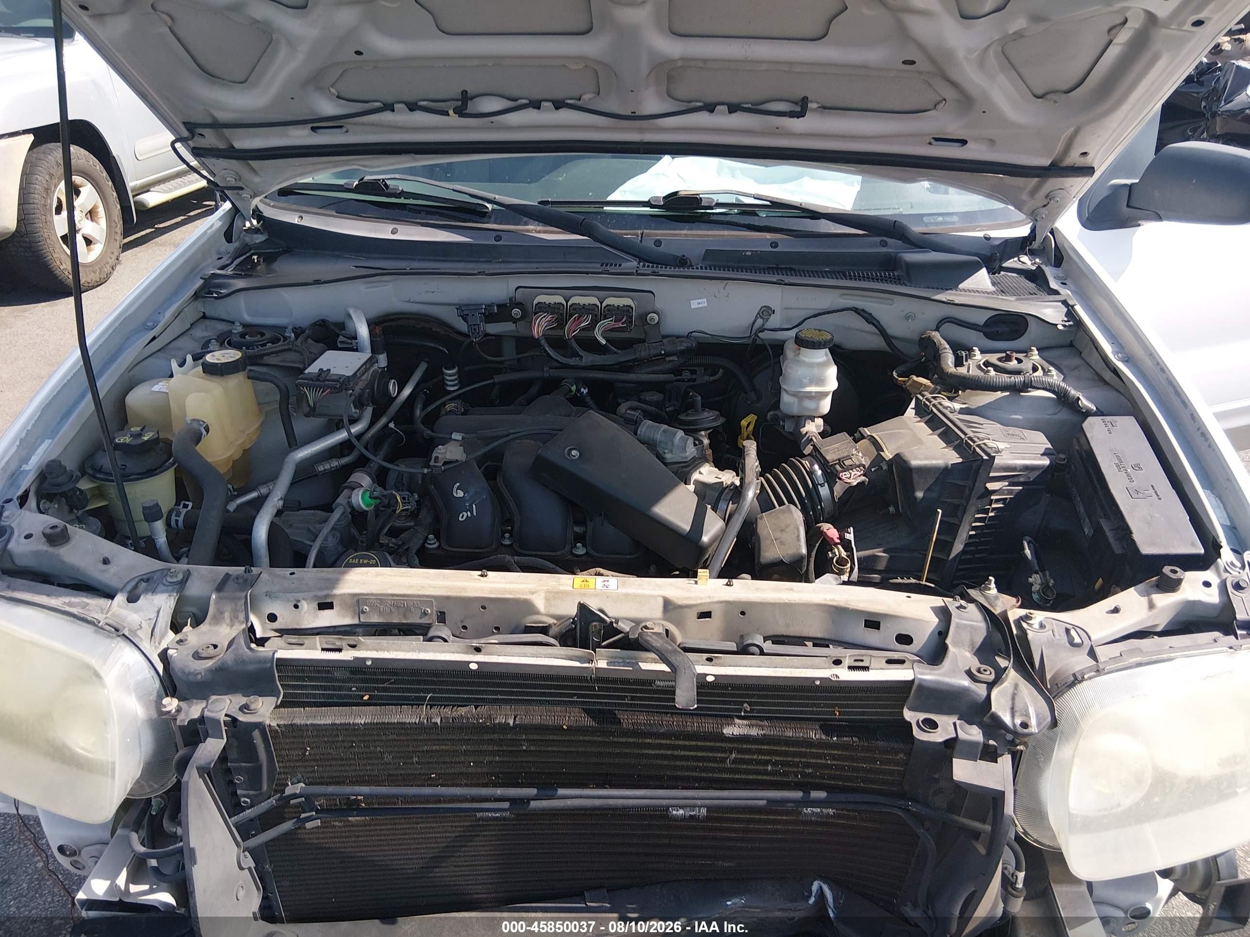 2007 Ford Escape Xlt/xlt Sport White vin: 1FMCU031X7KB87957