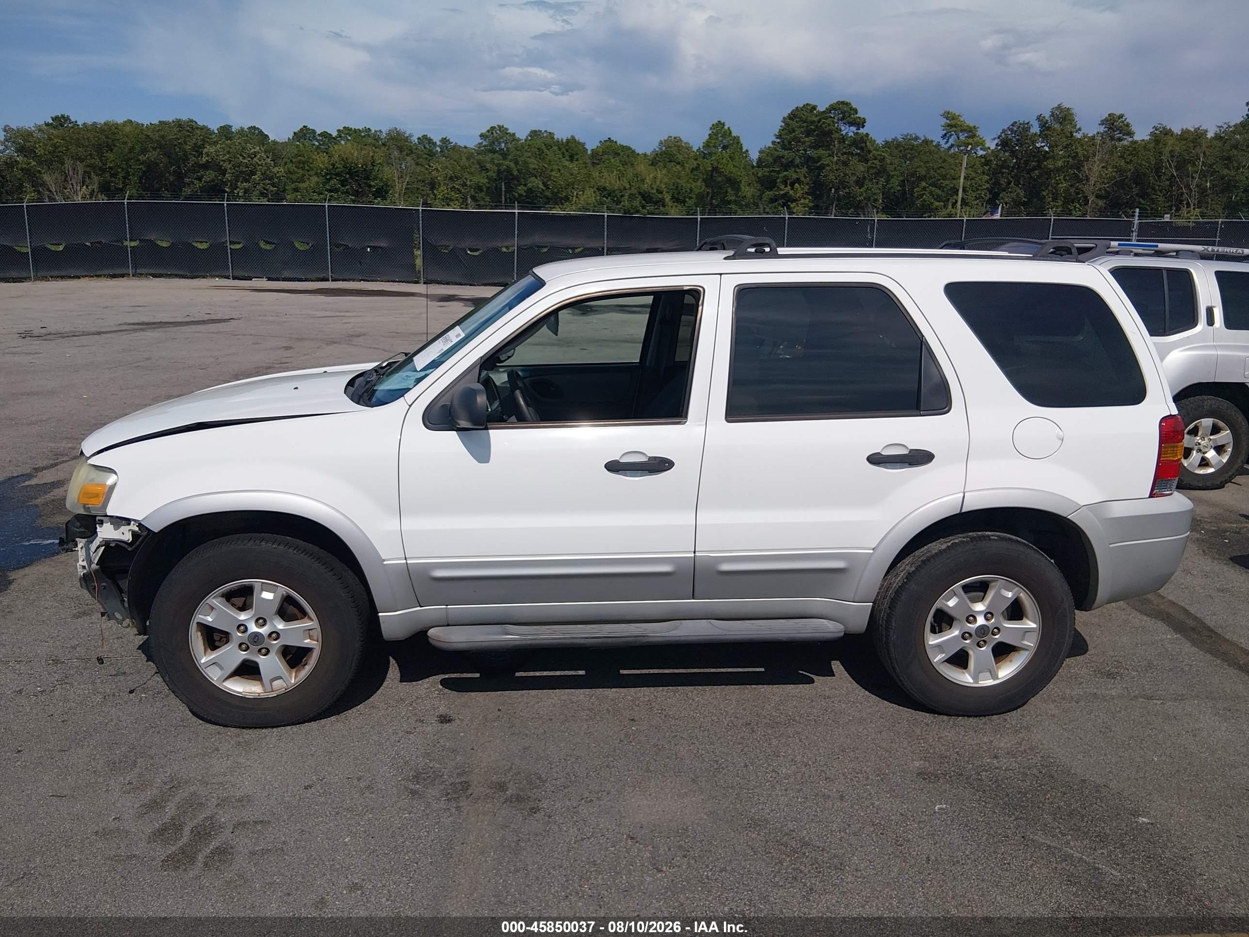 2007 Ford Escape Xlt/xlt Sport White vin: 1FMCU031X7KB87957