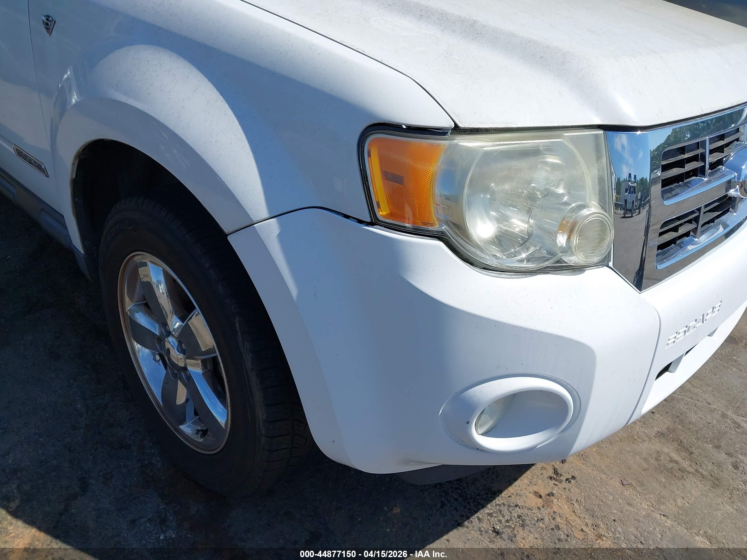 2008 Ford Escape Xlt Белый vin: 1FMCU031X8KB98698