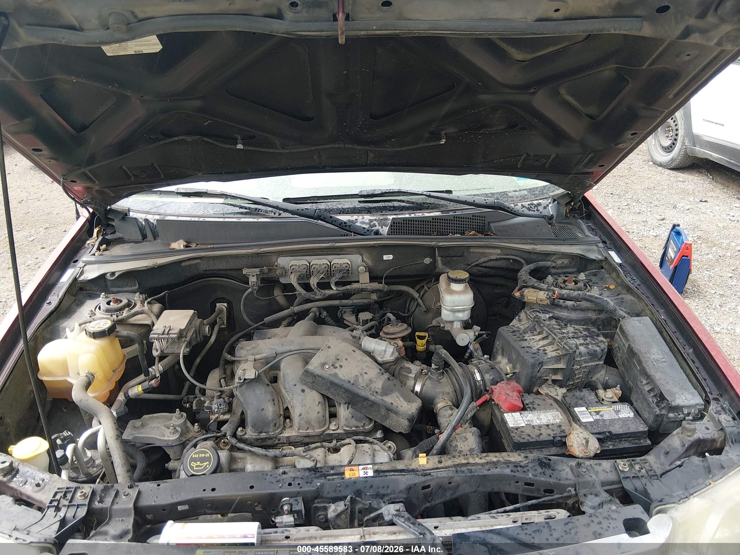 2008 Ford Escape Xlt Red vin: 1FMCU031X8KD49040
