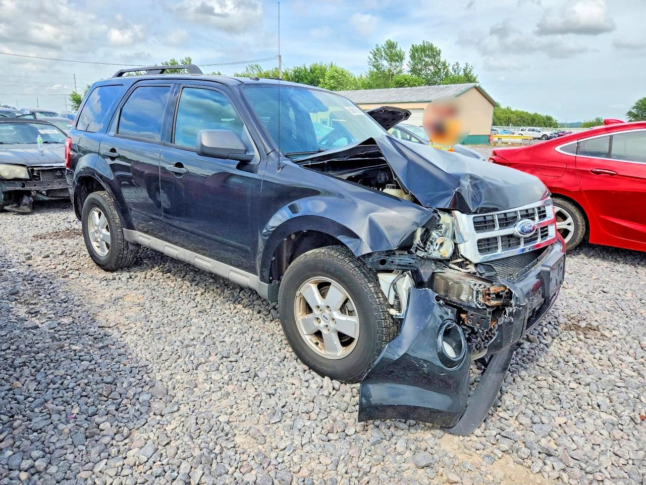 2009 Ford Escape Xlt Black vin: 1FMCU03709KB26429