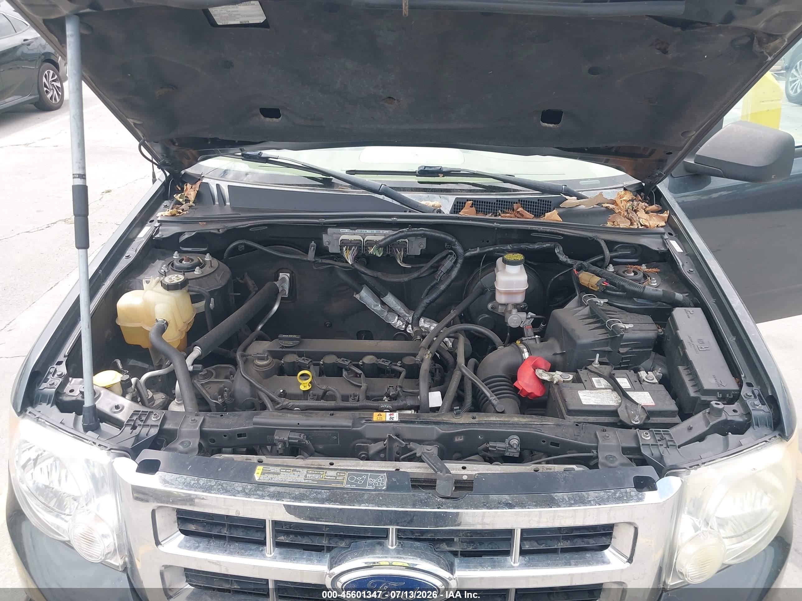 2009 Ford Escape Xlt Green vin: 1FMCU03799KB19950