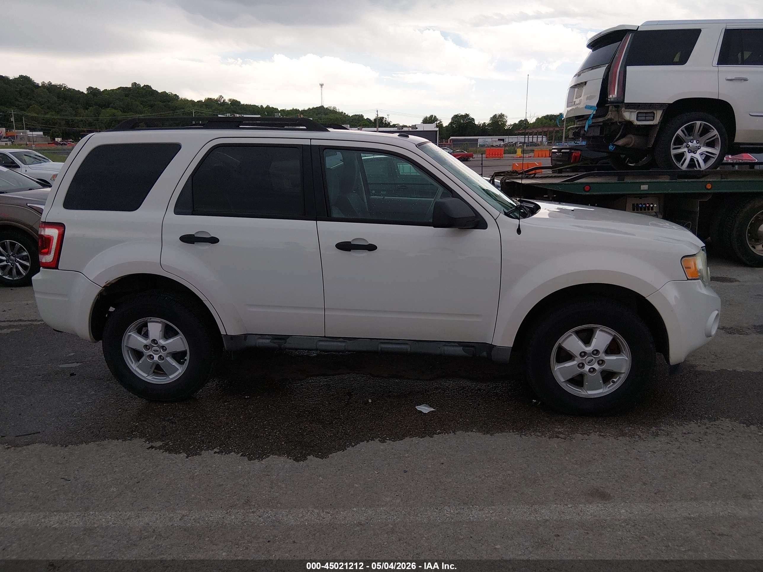 2009 Ford Escape Xlt White vin: 1FMCU03G29KB62865