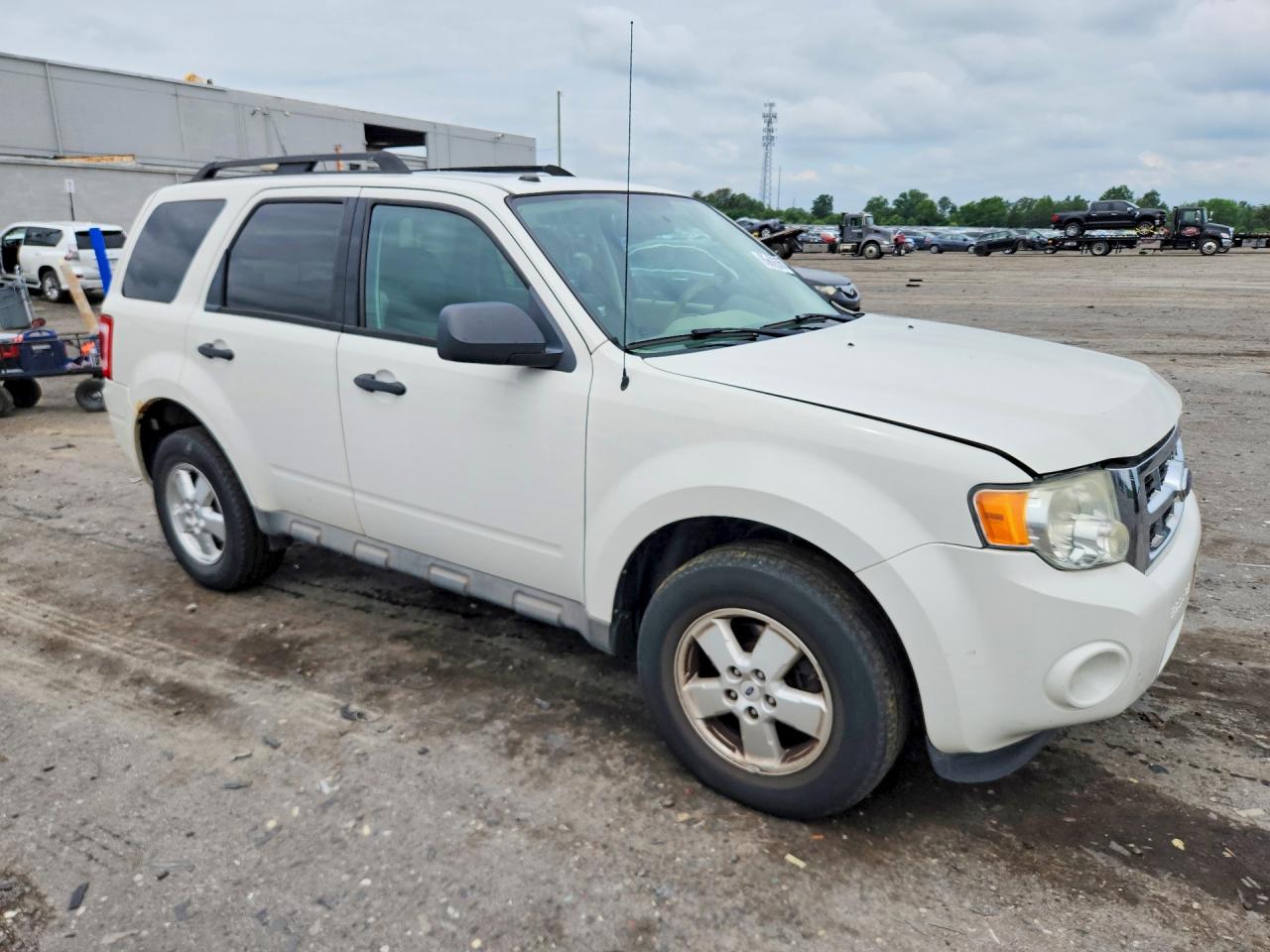 2009 Ford Escape Xlt White vin: 1FMCU03G79KC34692