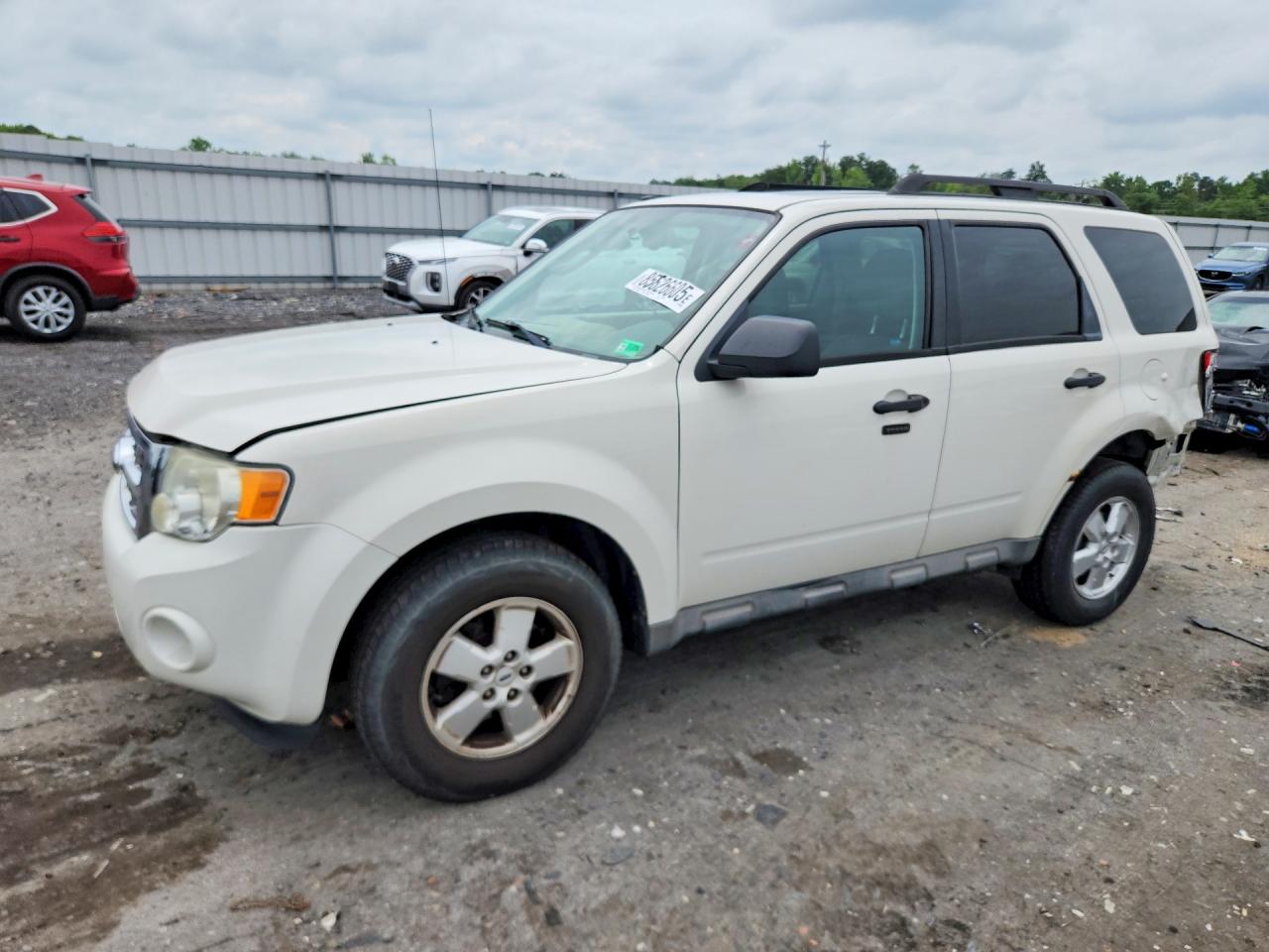2009 Ford Escape Xlt White vin: 1FMCU03G79KC34692