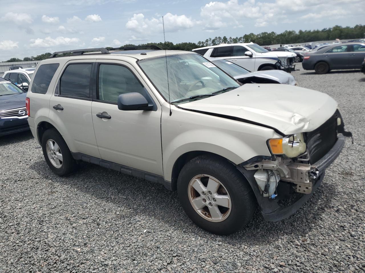 2009 Ford Escape Xlt Gold vin: 1FMCU03G99KA29245