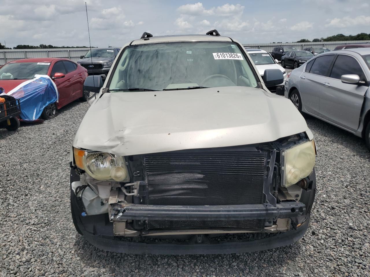 2009 Ford Escape Xlt Gold vin: 1FMCU03G99KA29245
