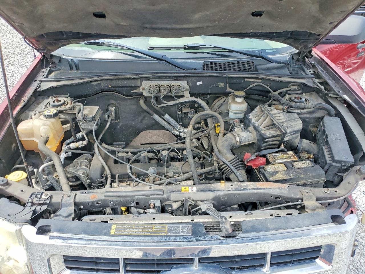 2008 Ford Escape Xlt Red vin: 1FMCU03Z08KB01272