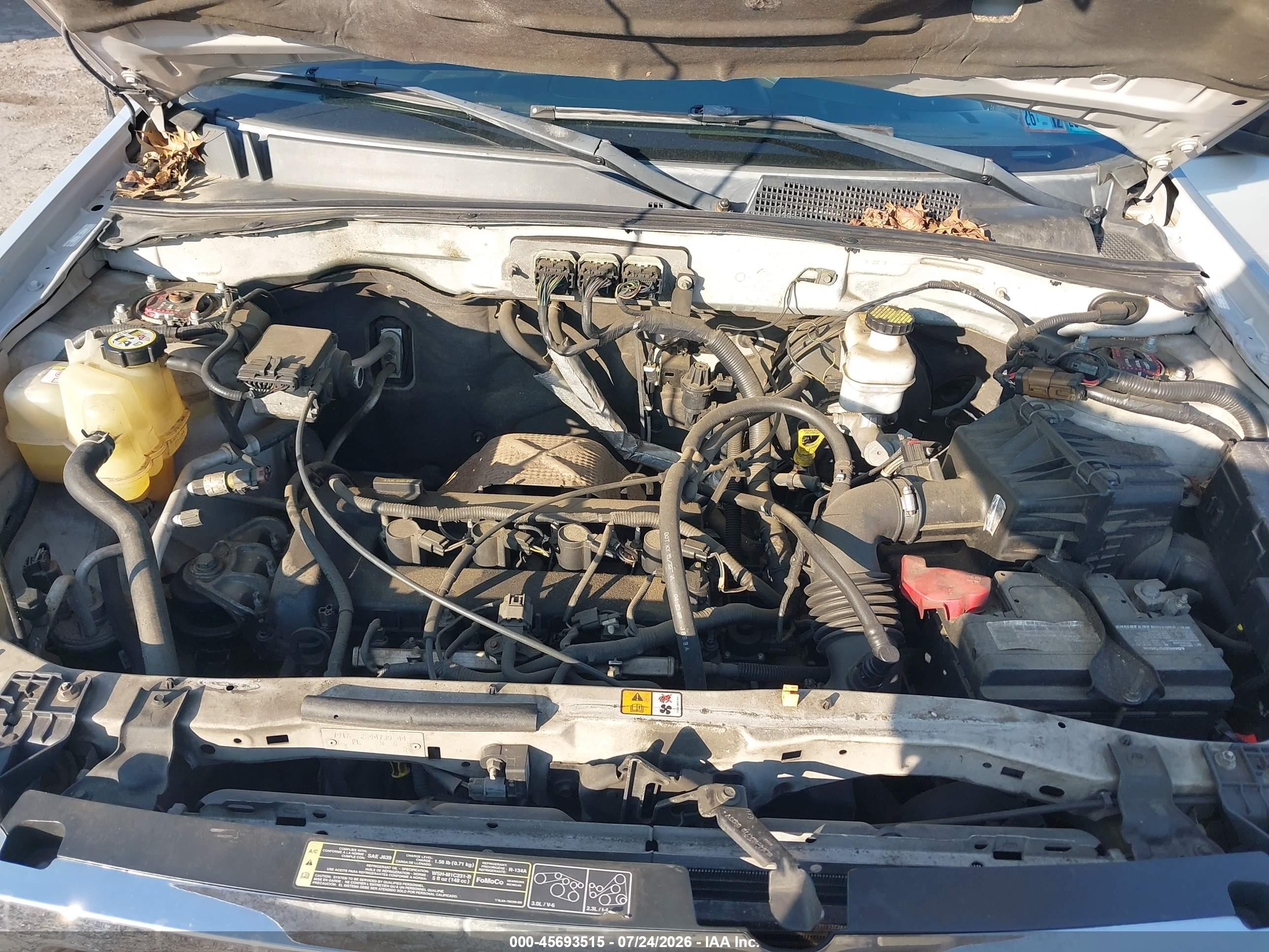 2008 Ford Escape Xlt Silver vin: 1FMCU03Z08KE65868
