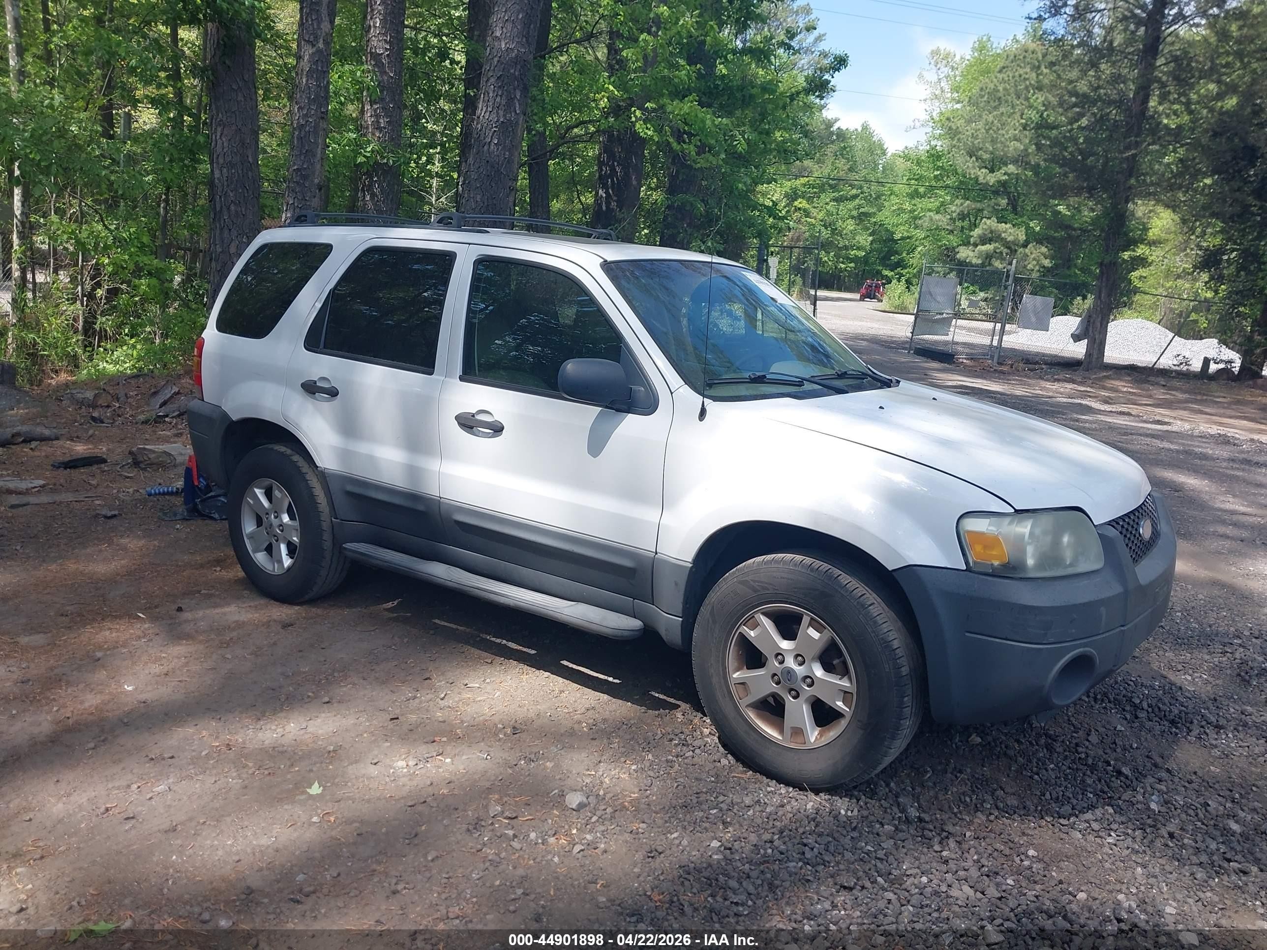 2007 Ford Escape Xlt White vin: 1FMCU03Z67KB87010