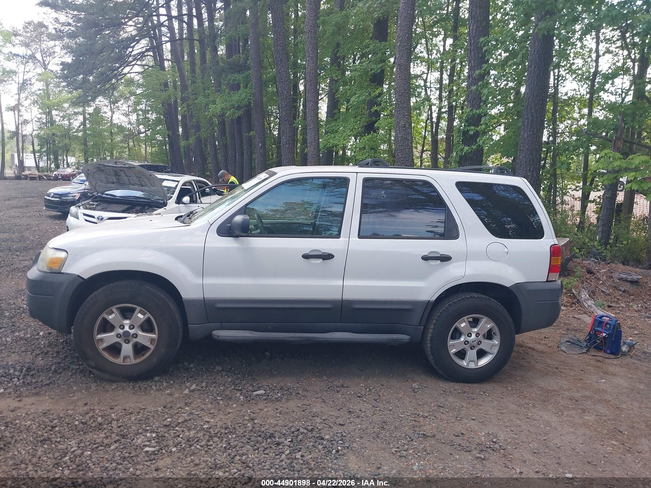 2007 Ford Escape Xlt White vin: 1FMCU03Z67KB87010