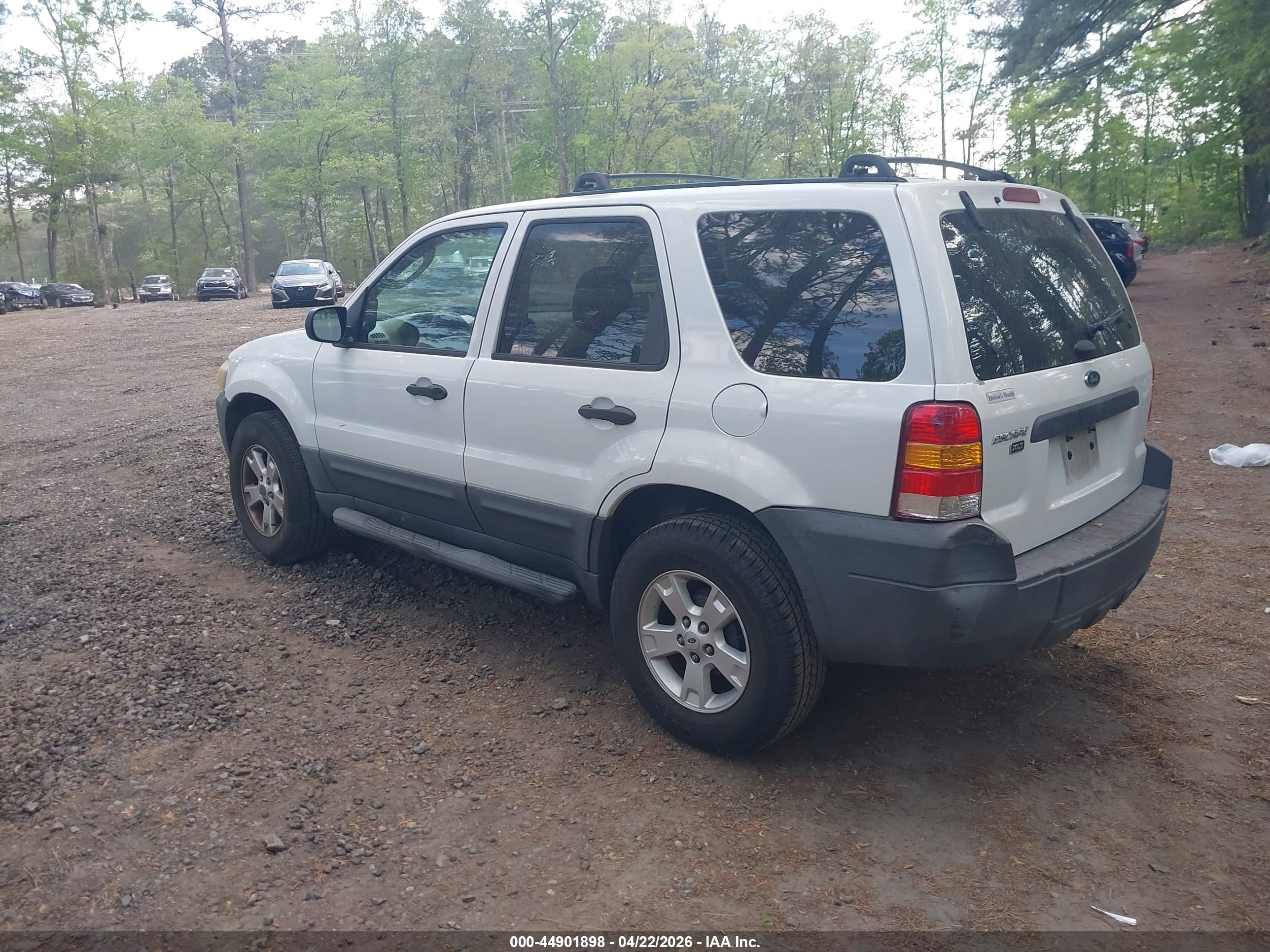 2007 Ford Escape Xlt White vin: 1FMCU03Z67KB87010
