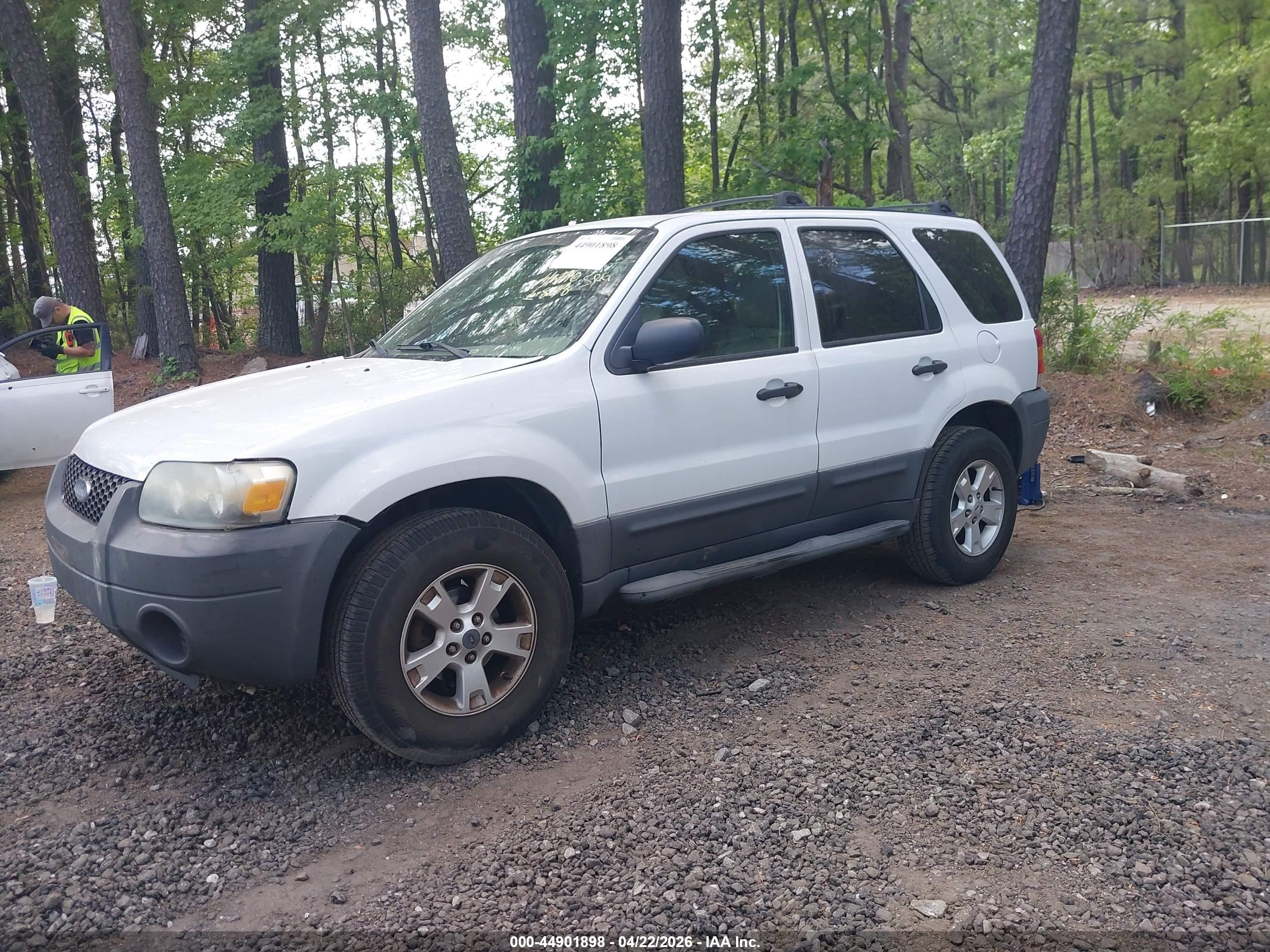 2007 Ford Escape Xlt White vin: 1FMCU03Z67KB87010