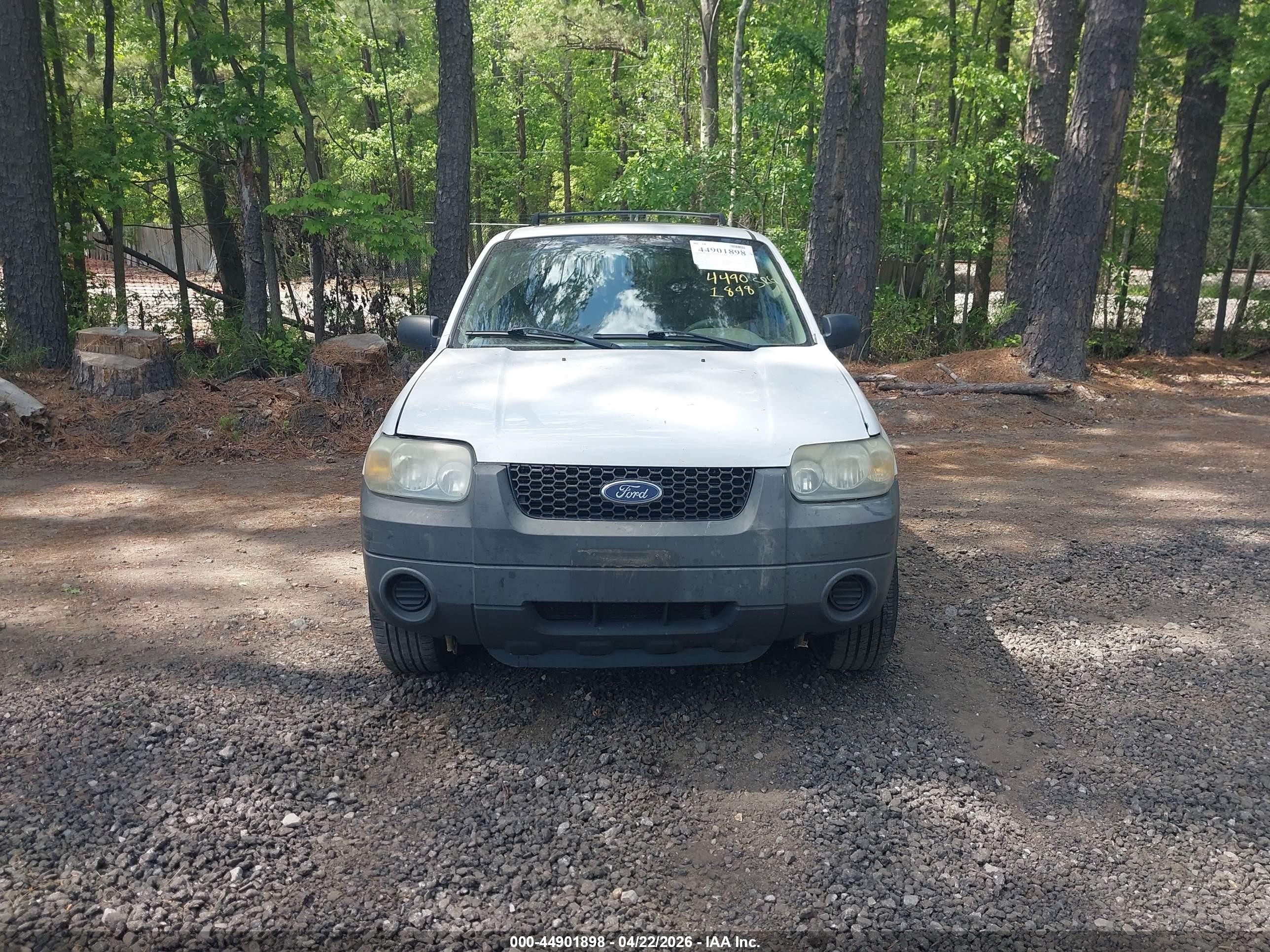 2007 Ford Escape Xlt White vin: 1FMCU03Z67KB87010