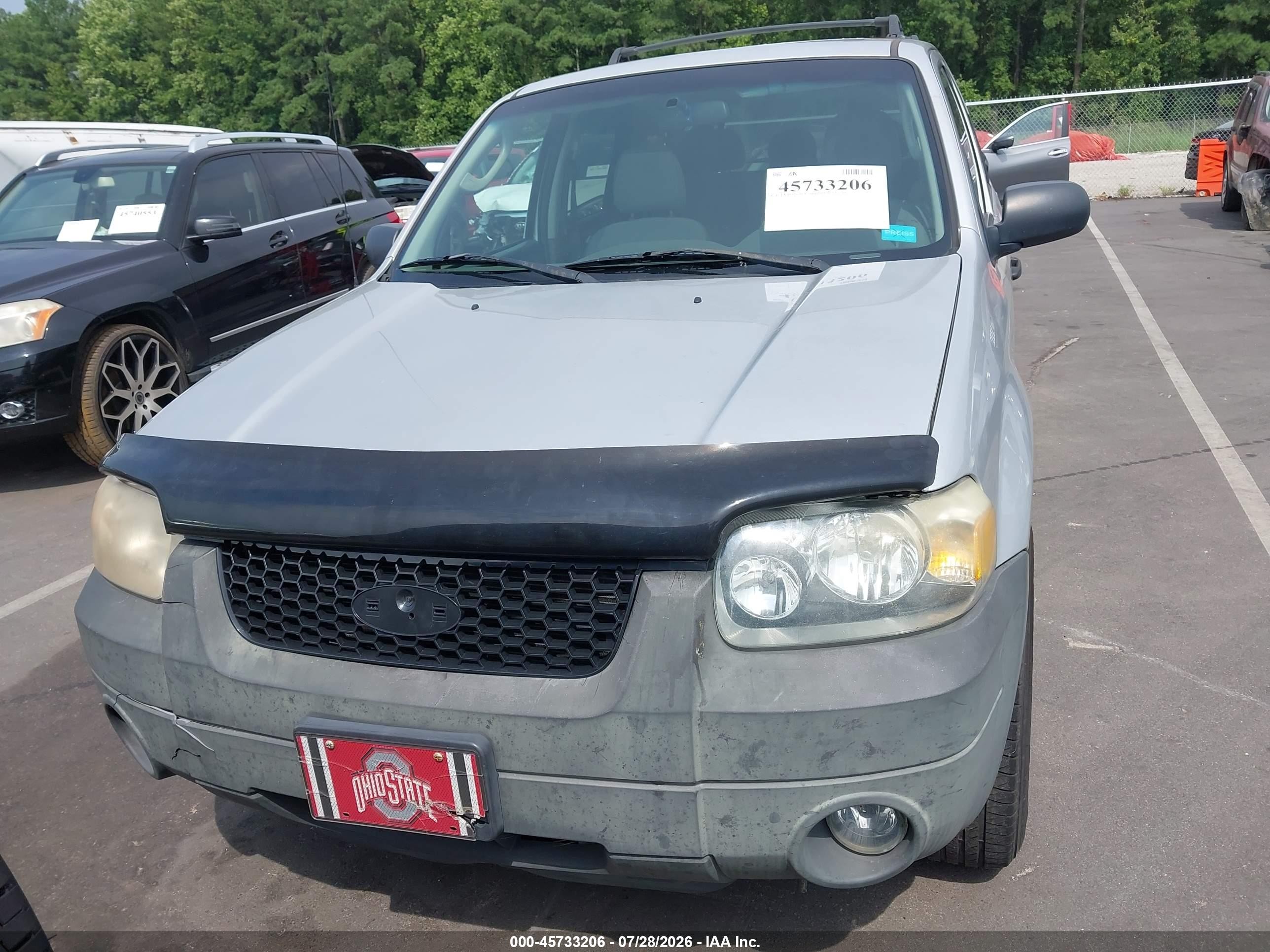 2006 Ford Escape Xlt Gray vin: 1FMCU03Z86KC04646