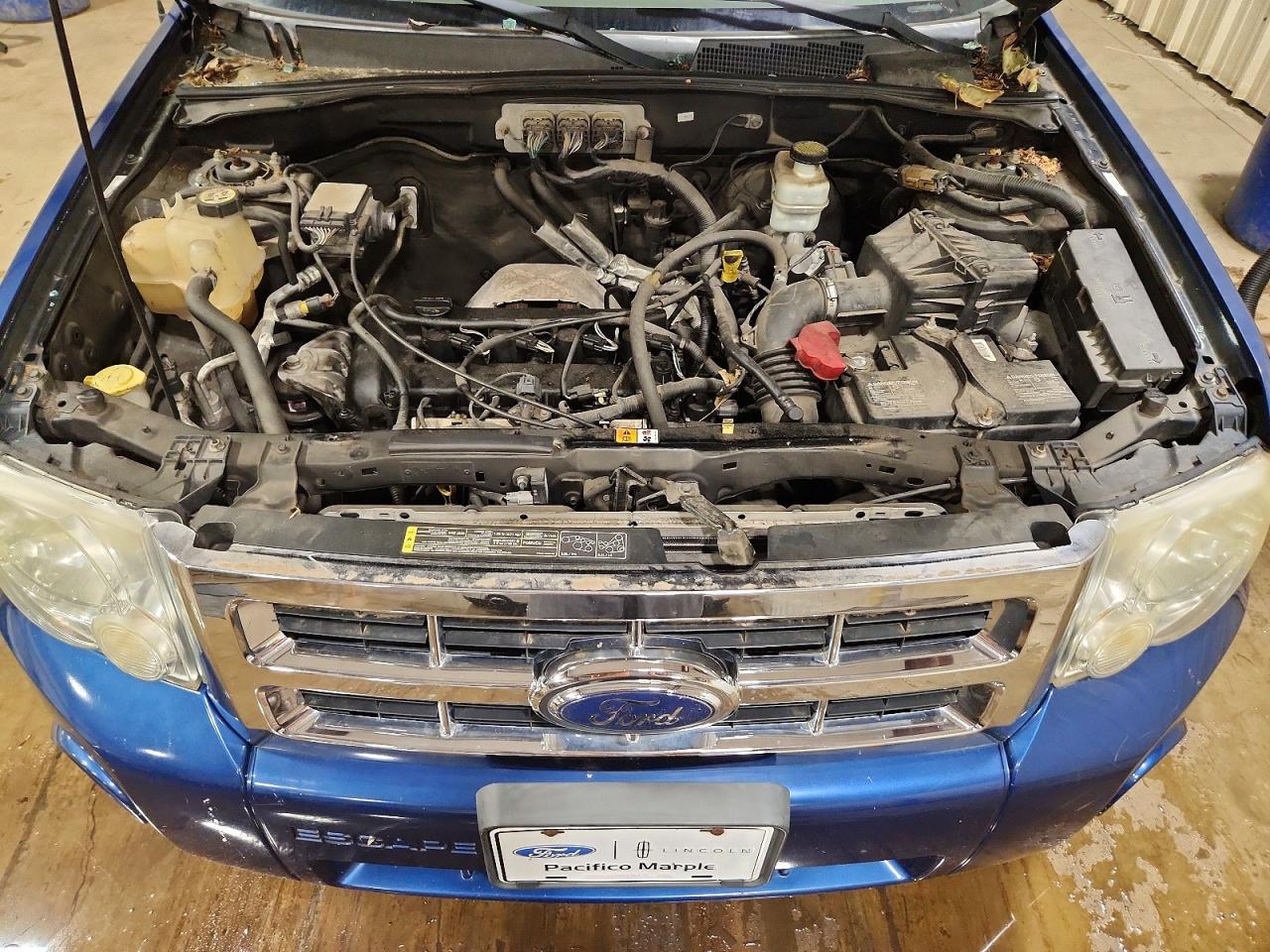 2008 Ford Escape Xlt Blue vin: 1FMCU03Z88KB25321