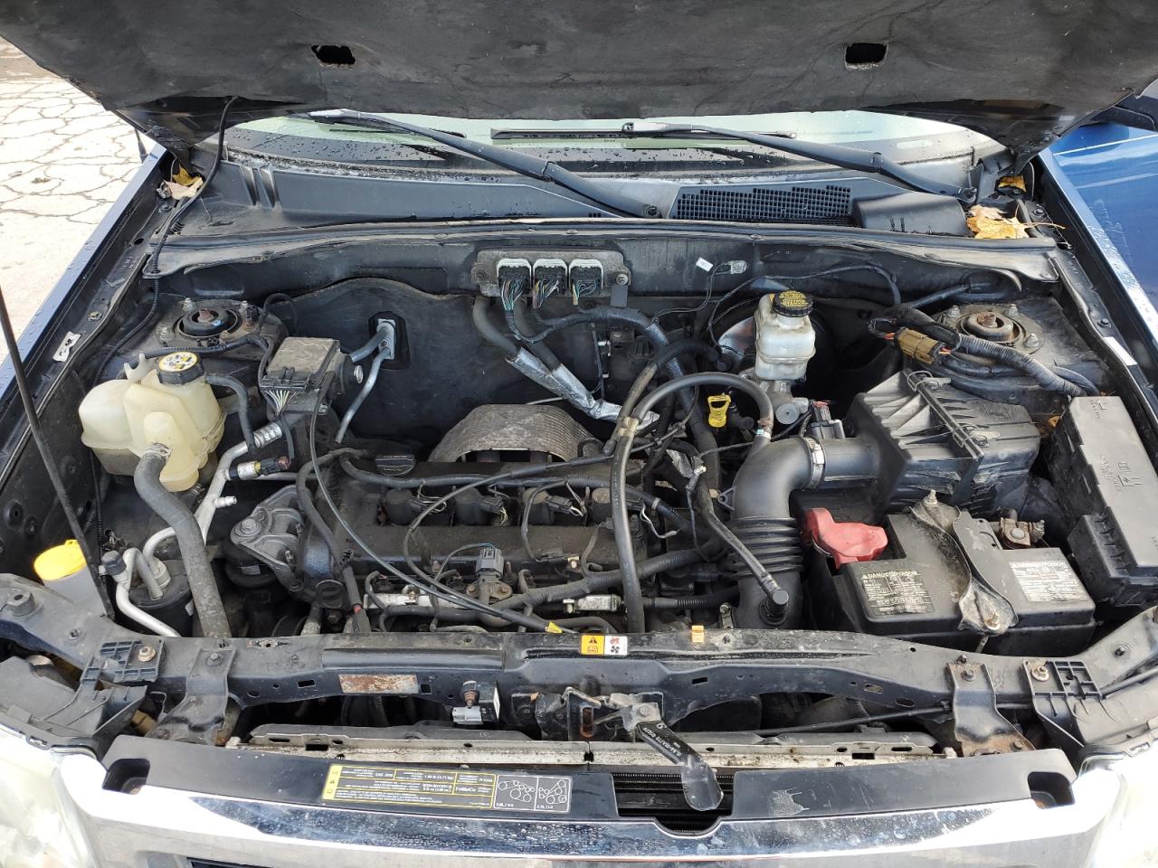 2008 Ford Escape Xlt Синий vin: 1FMCU03Z88KC06769