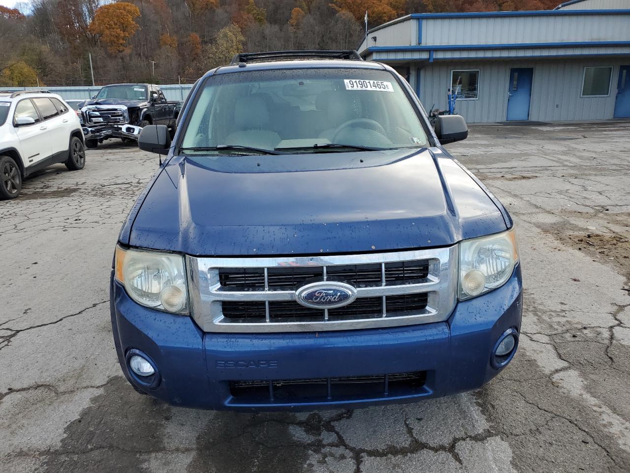 2008 Ford Escape Xlt Синий vin: 1FMCU03Z88KC06769