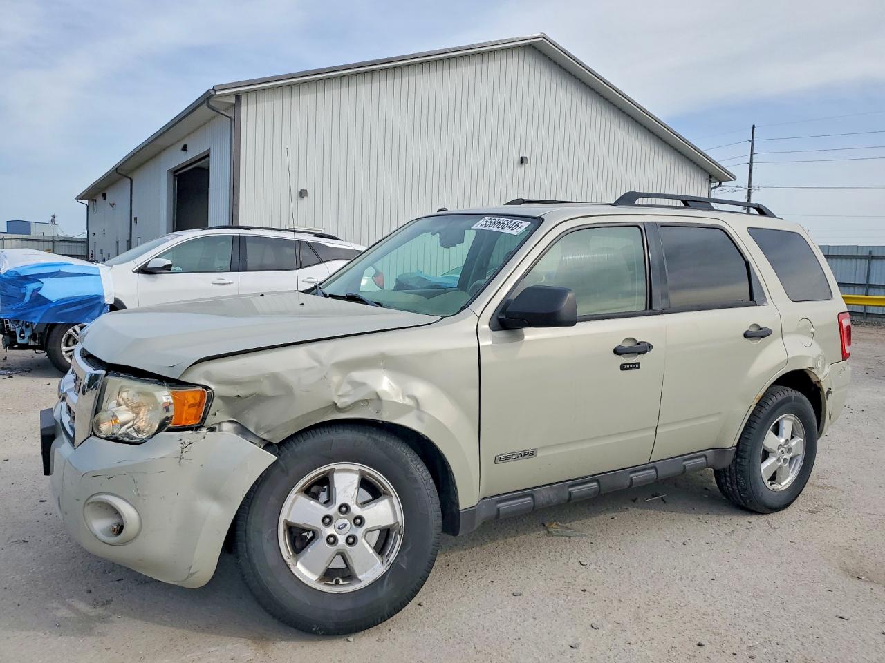 2008 Ford Escape Xlt Beige vin: 1FMCU03Z98KE69689