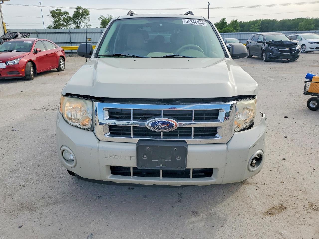 2008 Ford Escape Xlt Beige vin: 1FMCU03Z98KE69689