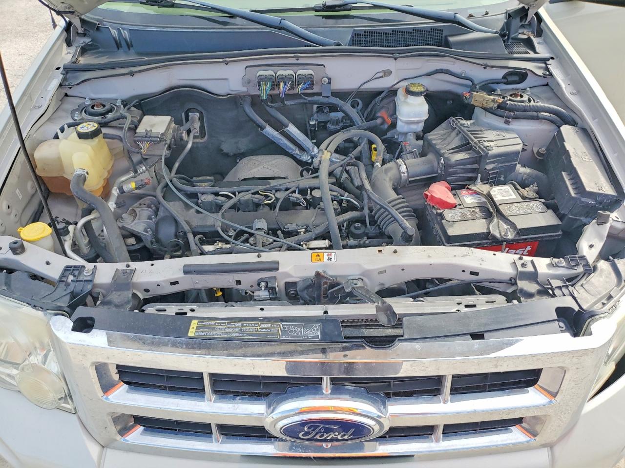 2008 Ford Escape Xlt Beige vin: 1FMCU03Z98KE69689