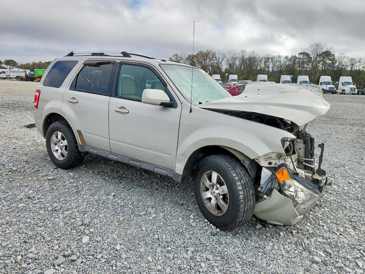 2009 Ford Escape Limited Beige vin: 1FMCU04729KB62783