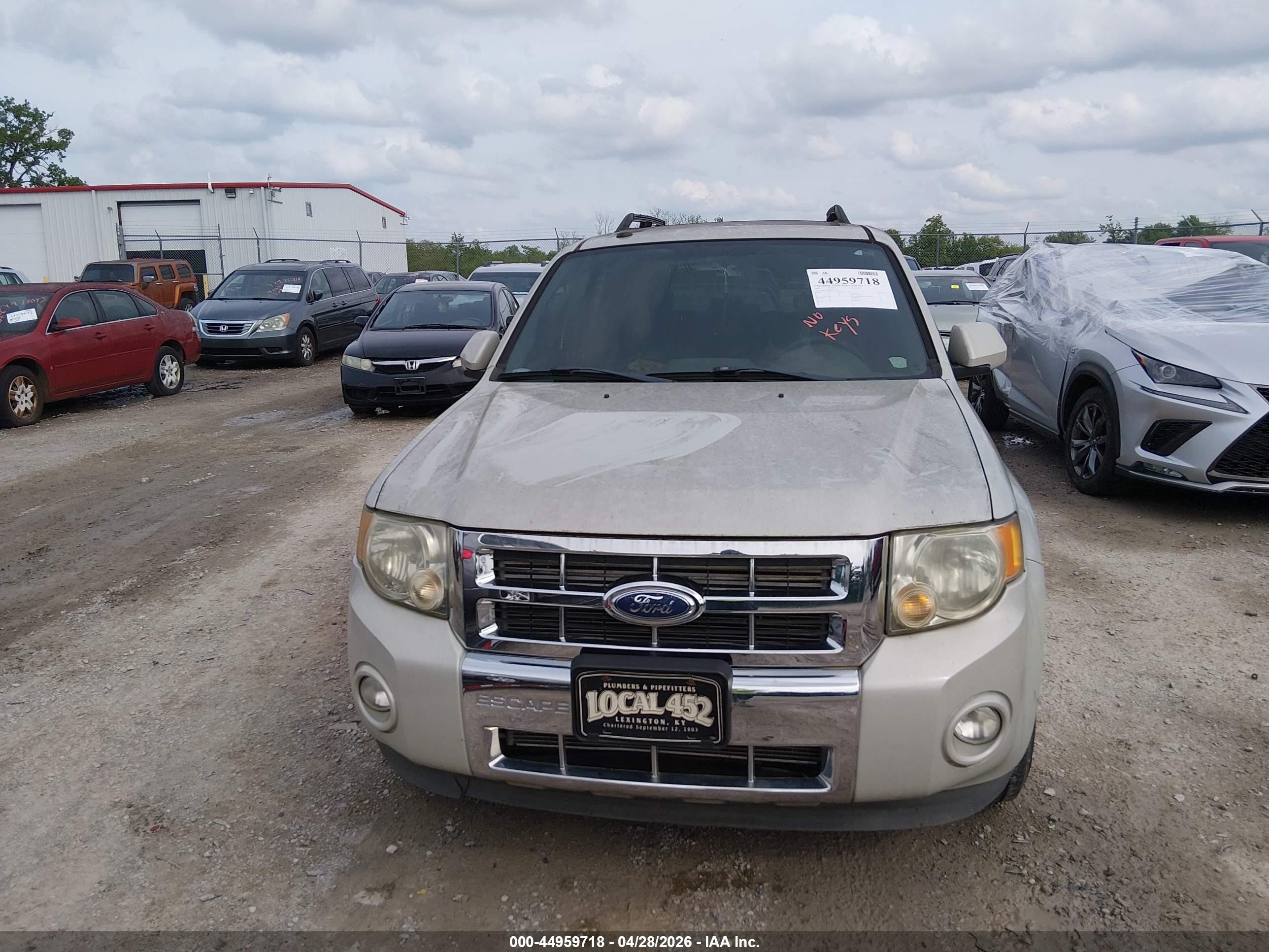2009 Ford Escape Limited Cream vin: 1FMCU04769KA03524
