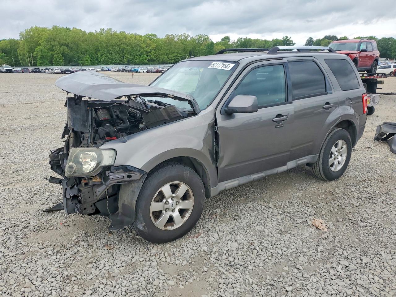 2009 Ford Escape Limited Gray vin: 1FMCU04G19KB35137