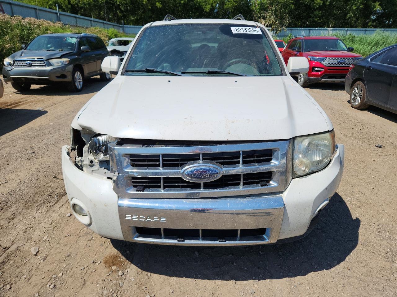 2009 Ford Escape White vin: 1FMCU04G39KA59078