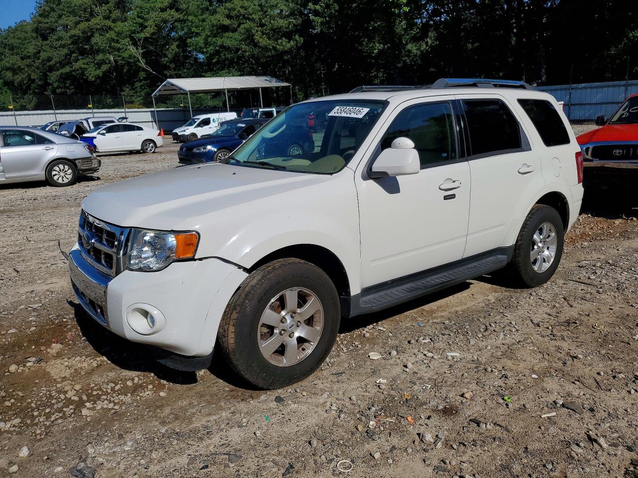 2009 Ford Escape Limited Белый vin: 1FMCU04G49KB09826
