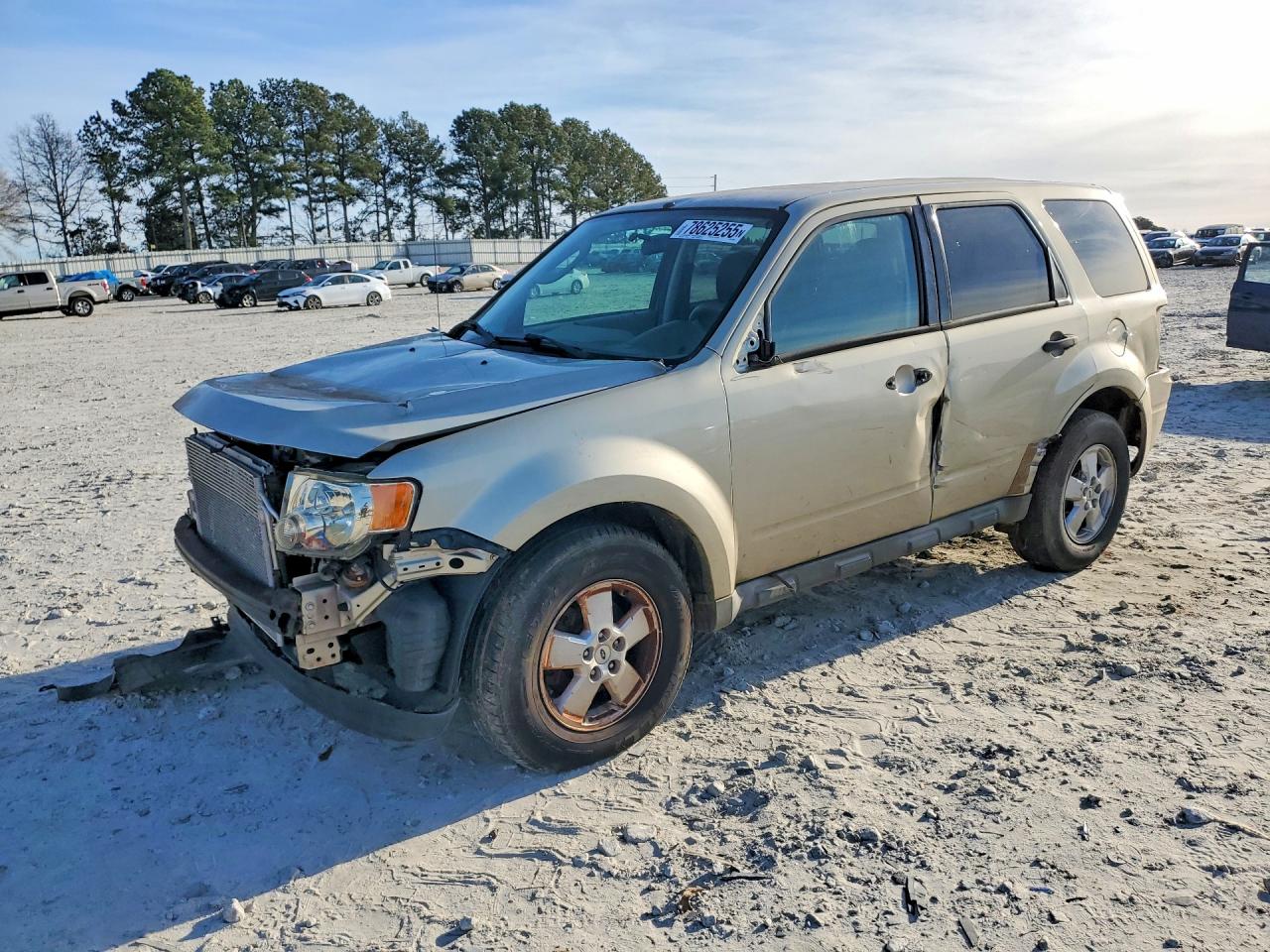 2010 Ford Escape Xls Gold vin: 1FMCU0C72AKB96289