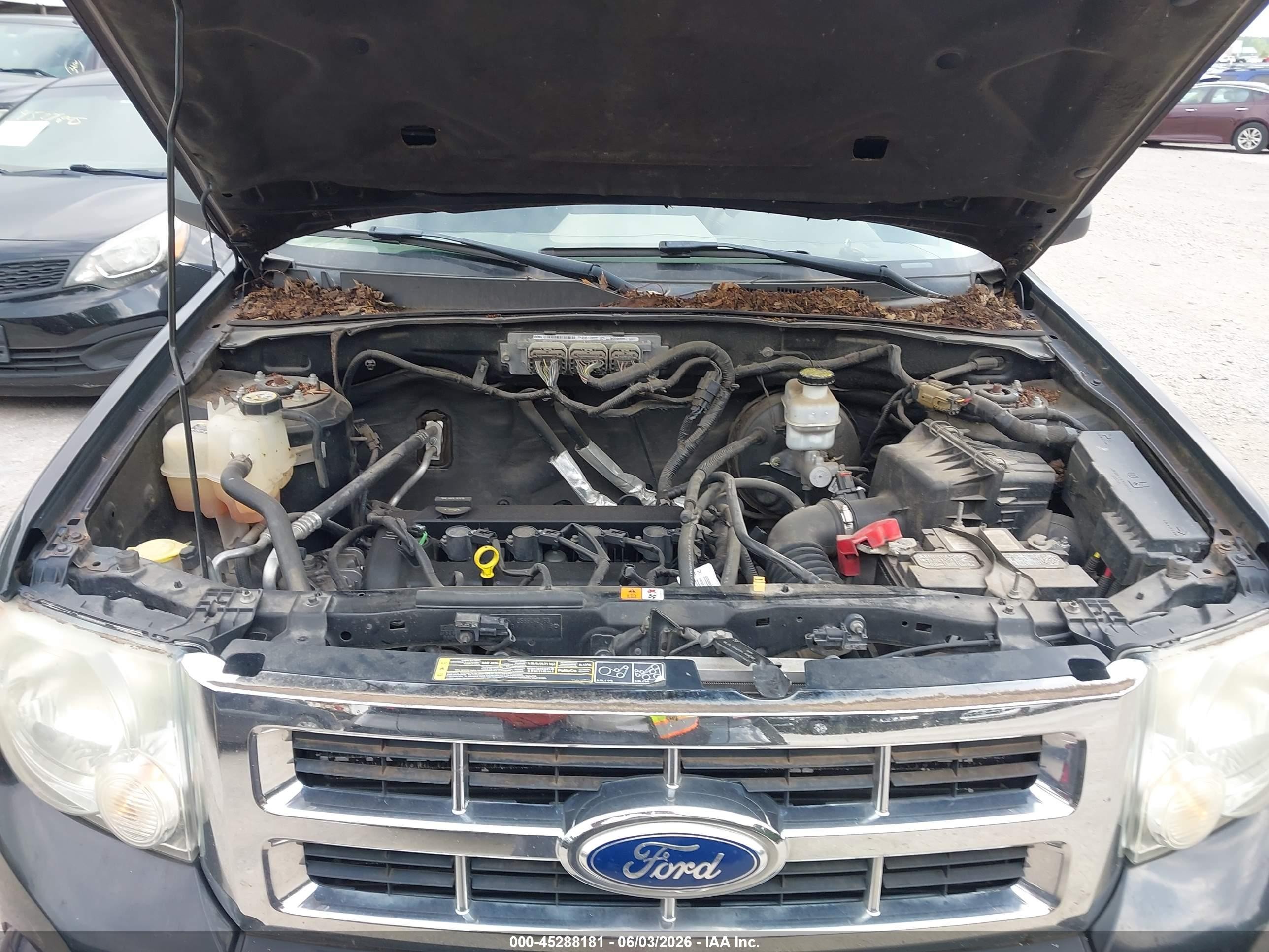 2011 Ford Escape Xls Черный vin: 1FMCU0C73BKB03278