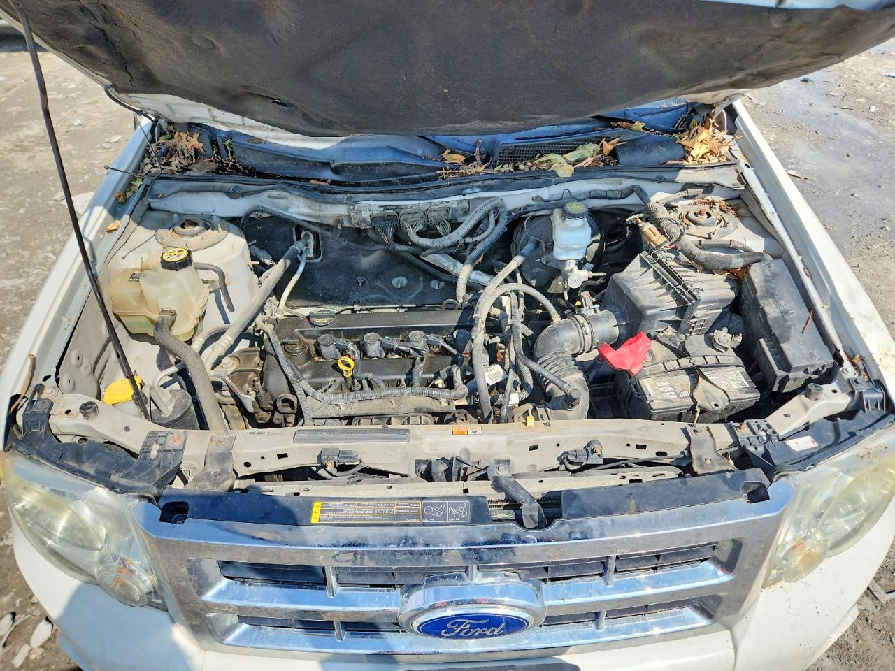2011 Ford Escape Xls White vin: 1FMCU0C78BKC61700