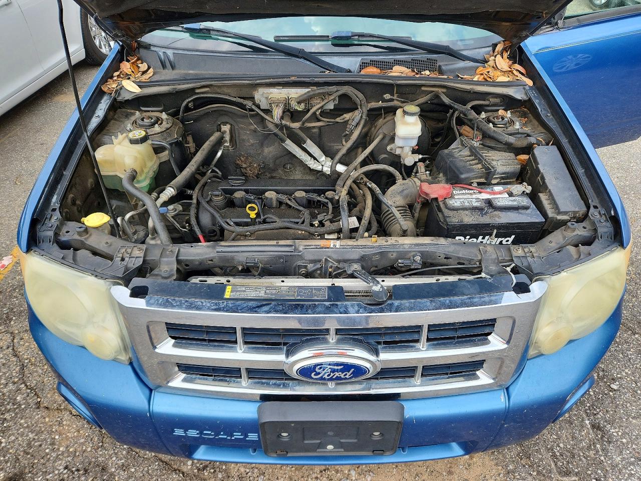 2010 Ford Escape Xlt Blue vin: 1FMCU0D70AKB00920