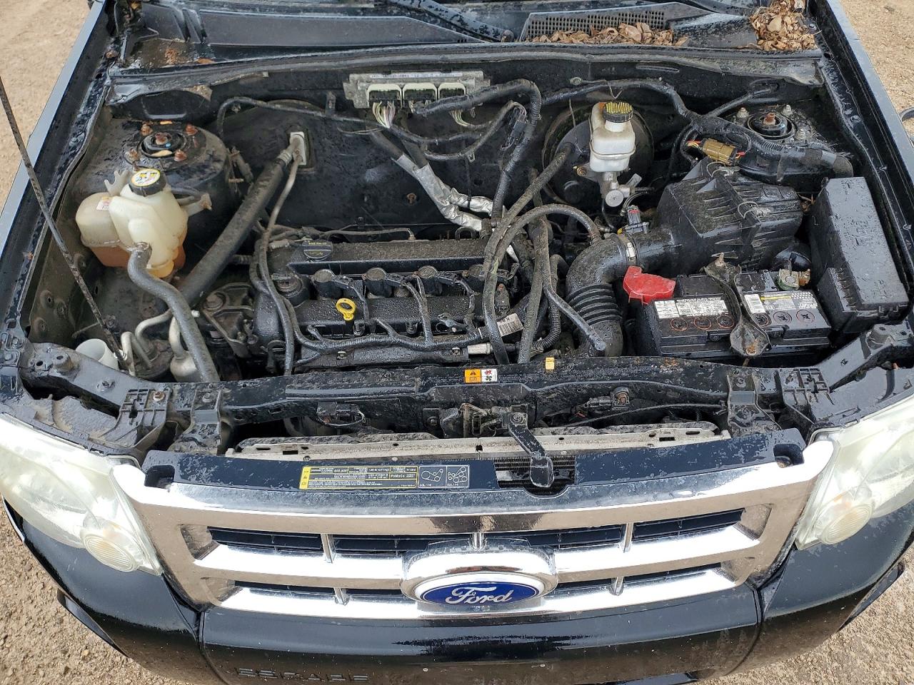 2010 Ford Escape Xlt Black vin: 1FMCU0D70AKC17560