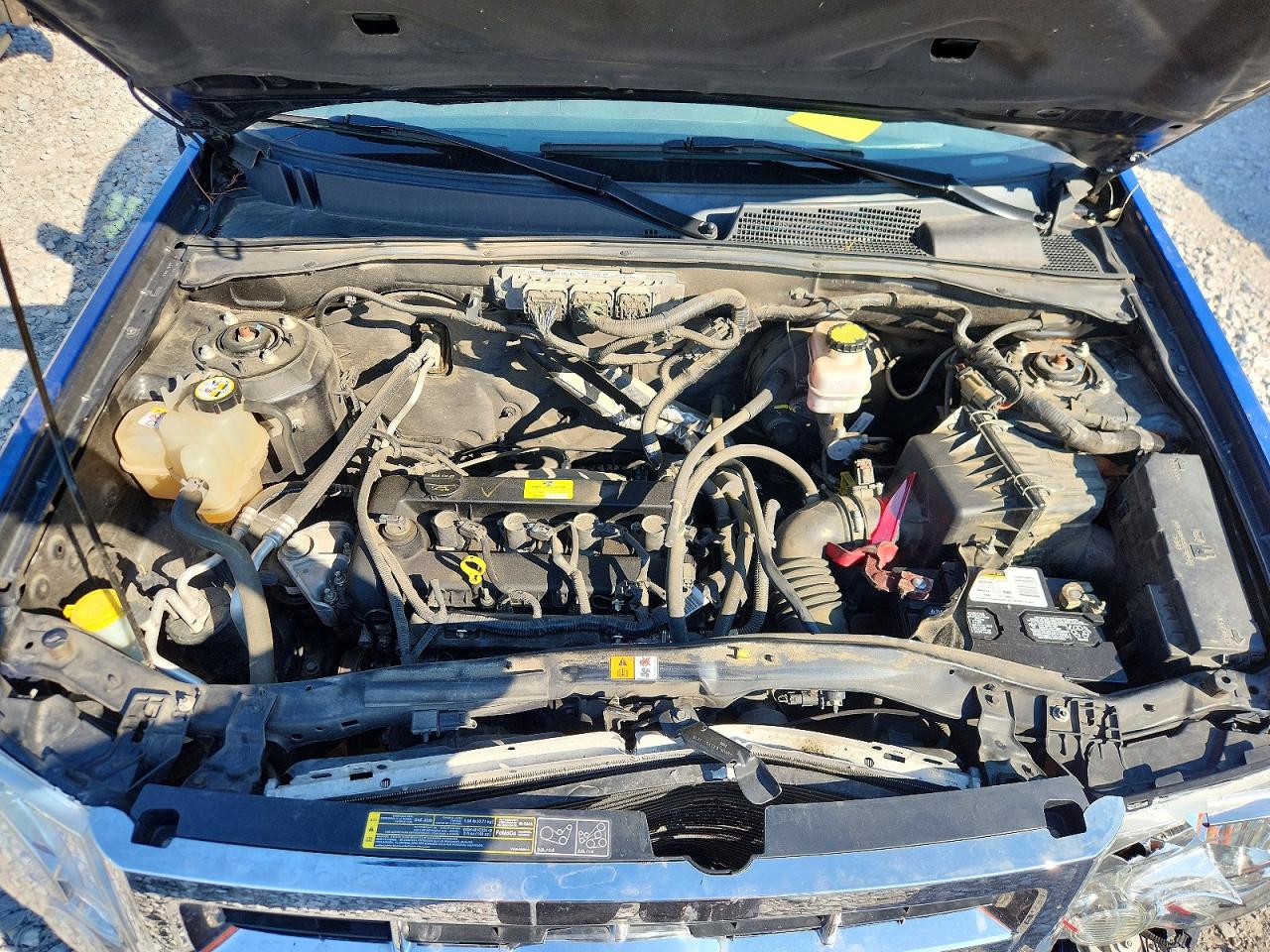 2011 Ford Escape Xlt Blue vin: 1FMCU0D70BKA81352