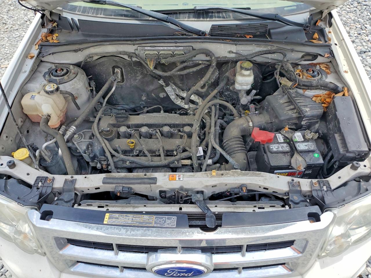 2011 Ford Escape Xlt Белый vin: 1FMCU0D70BKB95917