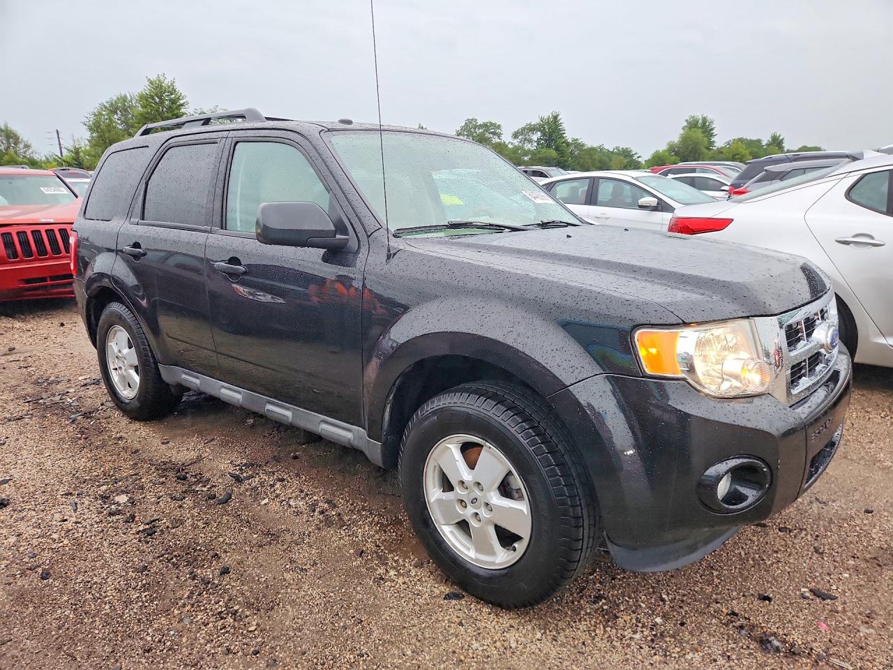 2011 Ford Escape Xlt Black vin: 1FMCU0D70BKC31766