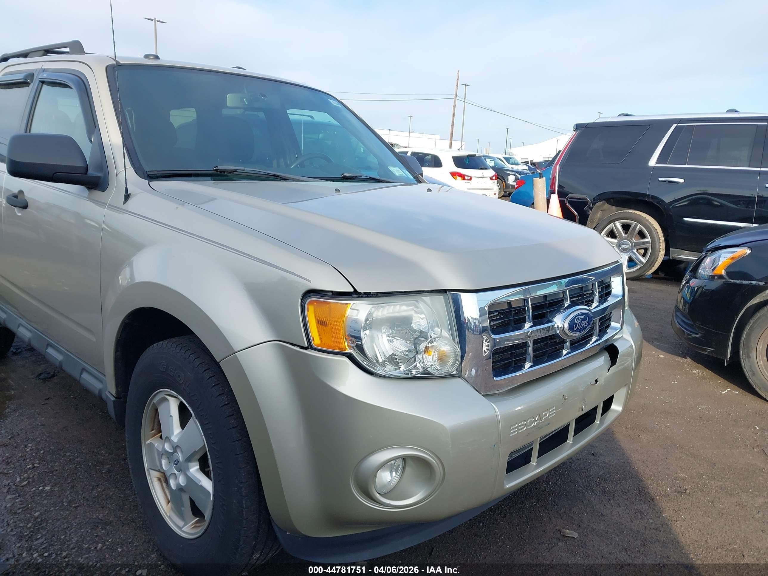 2011 Ford Escape Xlt Tan vin: 1FMCU0D72BKA03560