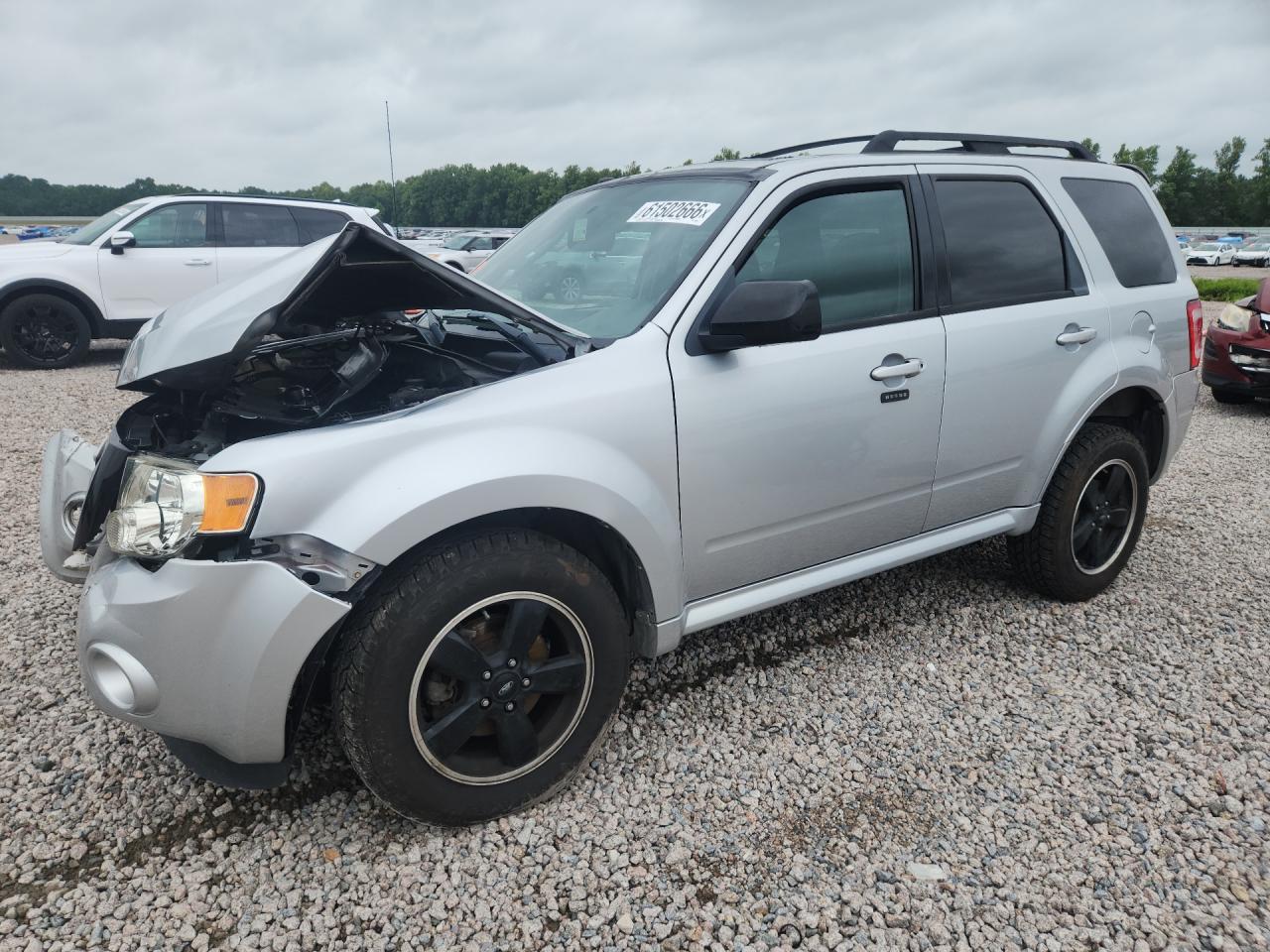 2011 Ford Escape Xlt Silver vin: 1FMCU0D72BKA25395