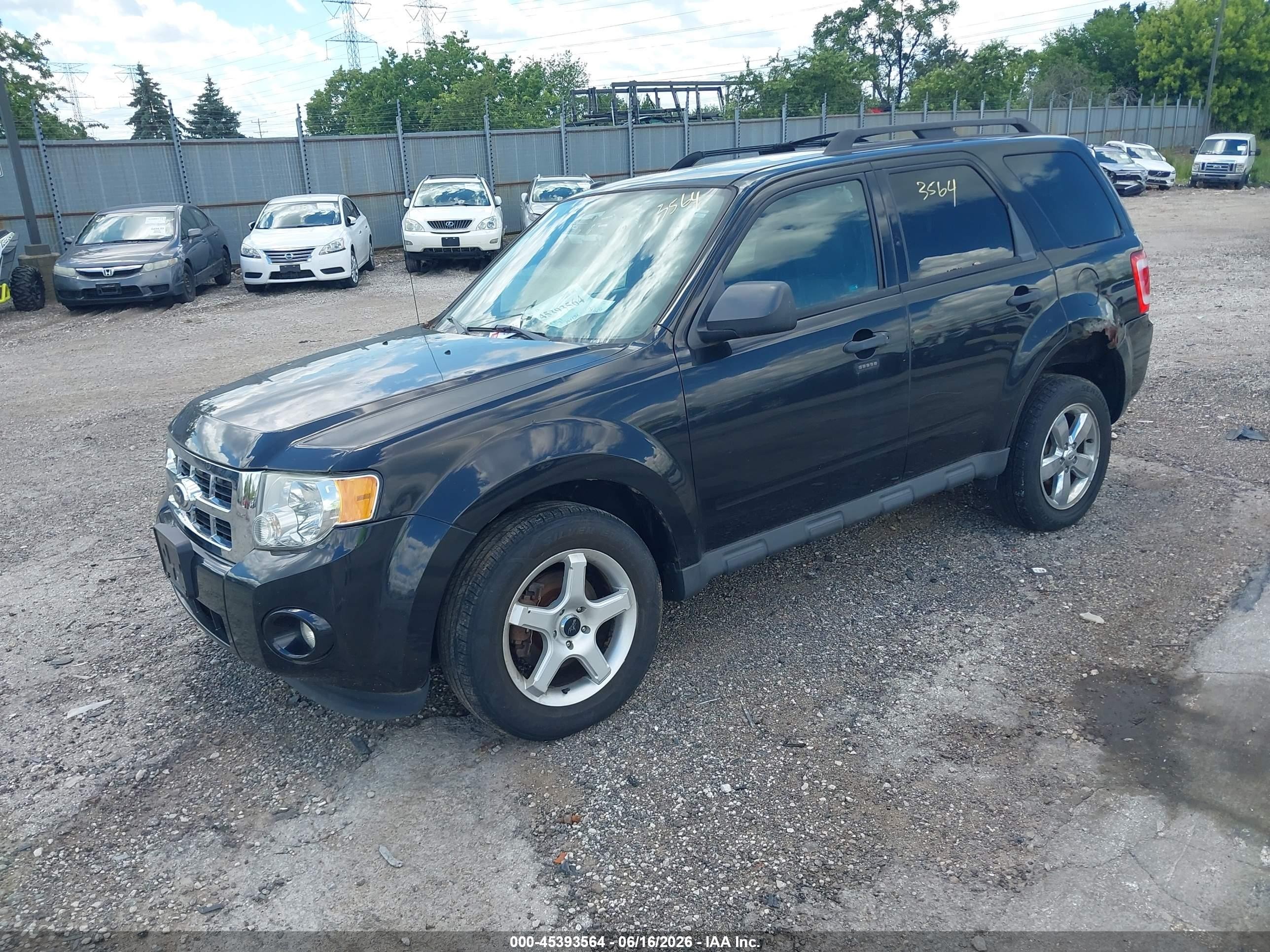 2011 Ford Escape Xlt Black vin: 1FMCU0D72BKB51594