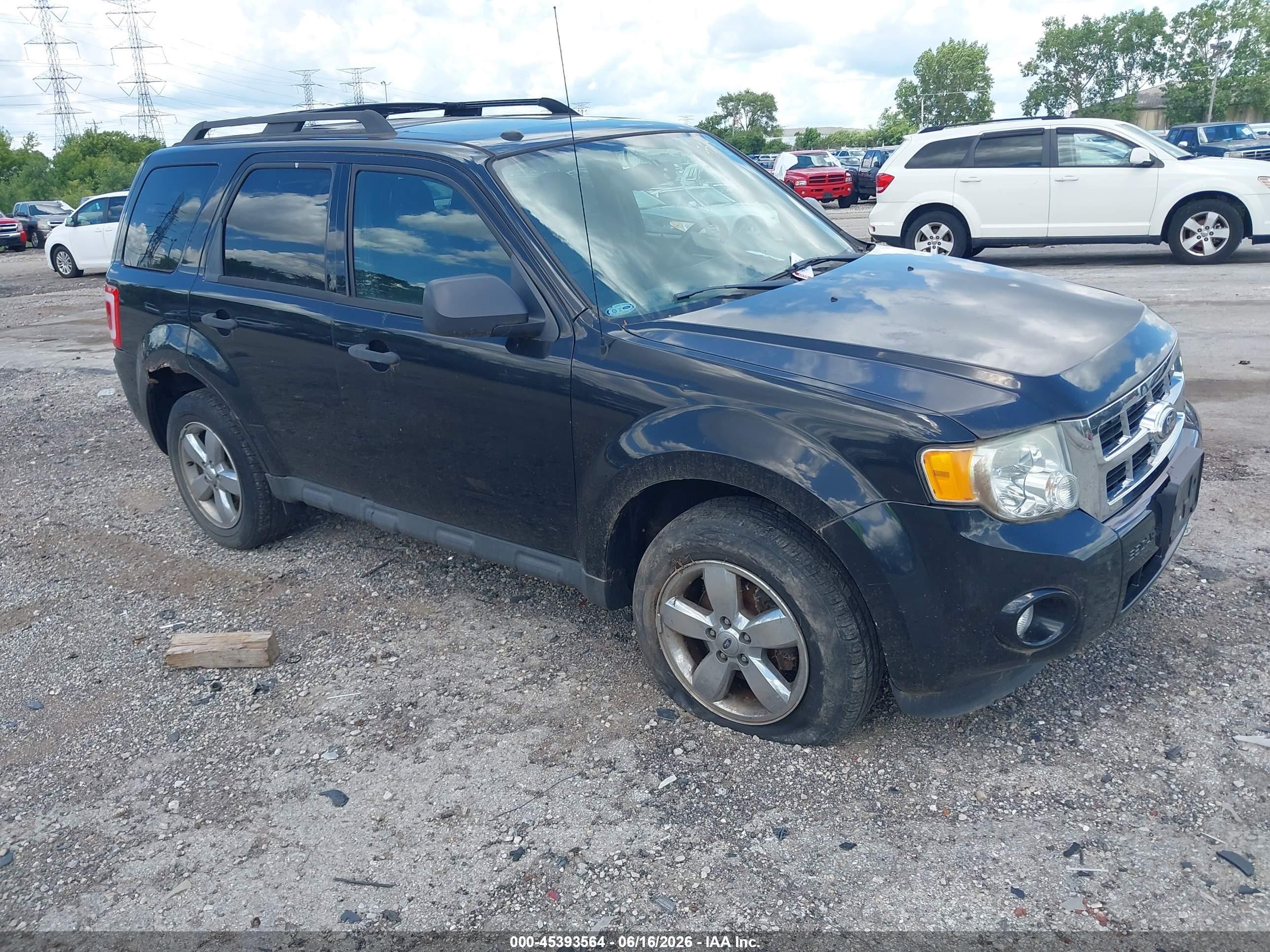 2011 Ford Escape Xlt Black vin: 1FMCU0D72BKB51594