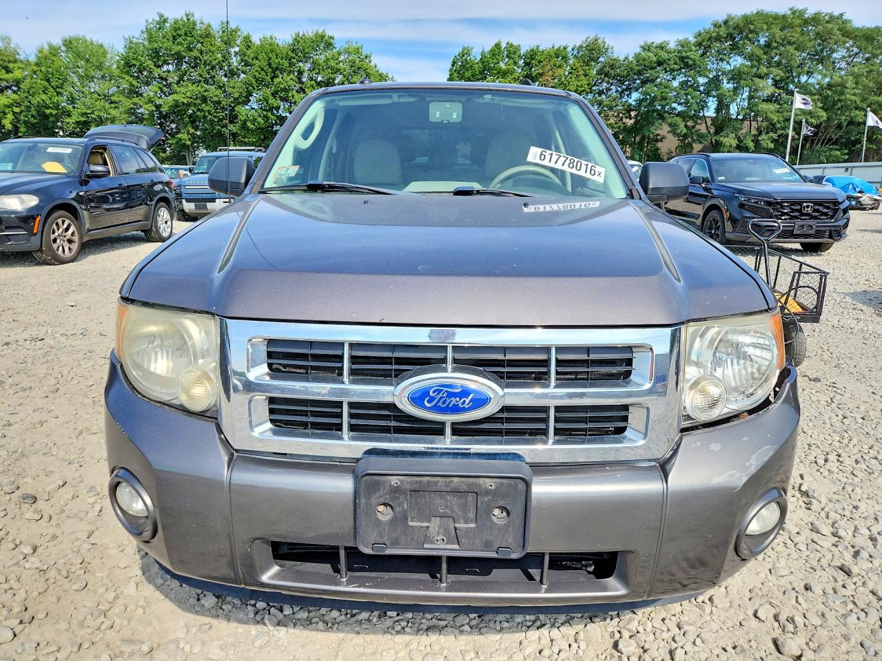 2011 Ford Escape Xlt Gray vin: 1FMCU0D72BKC31378
