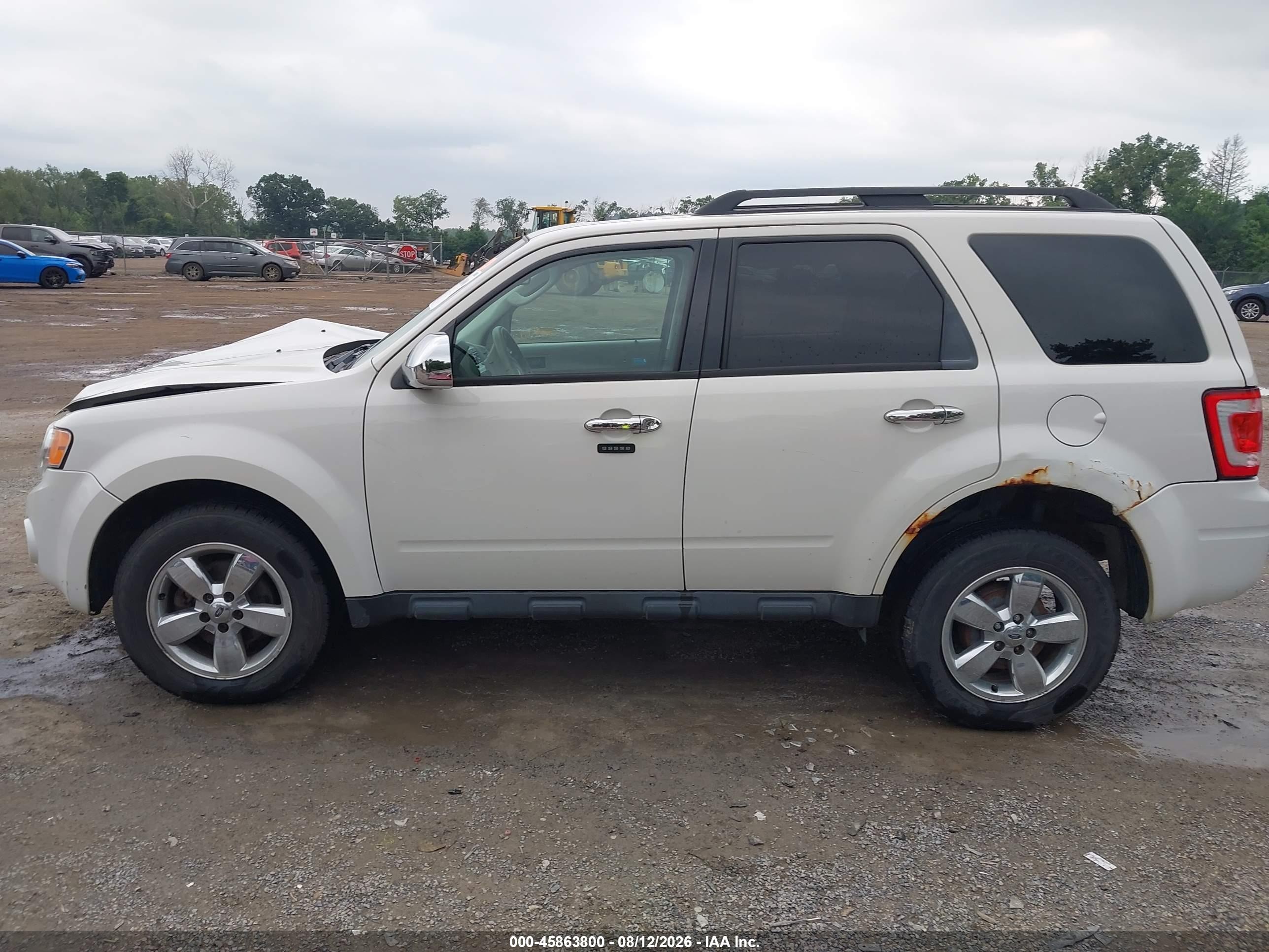 2012 Ford Escape Xlt White vin: 1FMCU0D72CKA73335