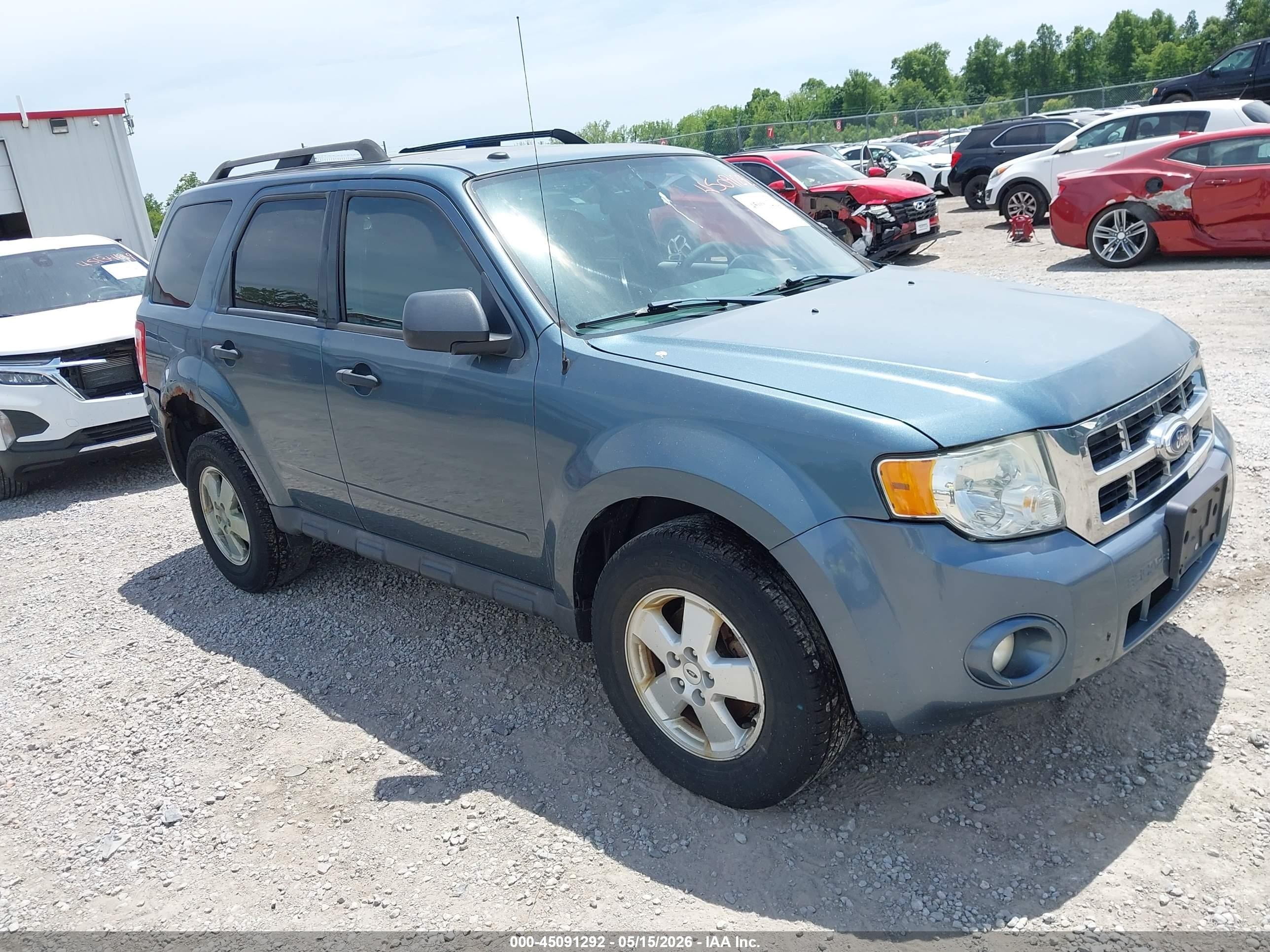 2011 Ford Escape Xlt Blue vin: 1FMCU0D73BKB44721