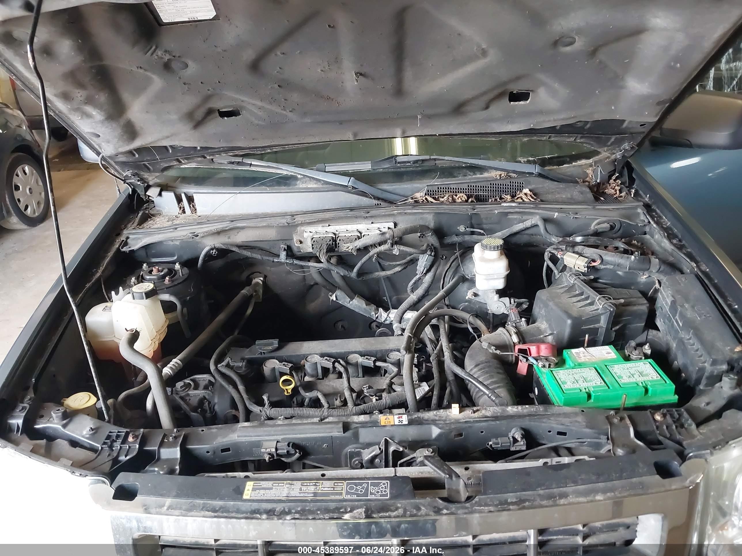 2011 Ford Escape Xlt Green vin: 1FMCU0D73BKC29915