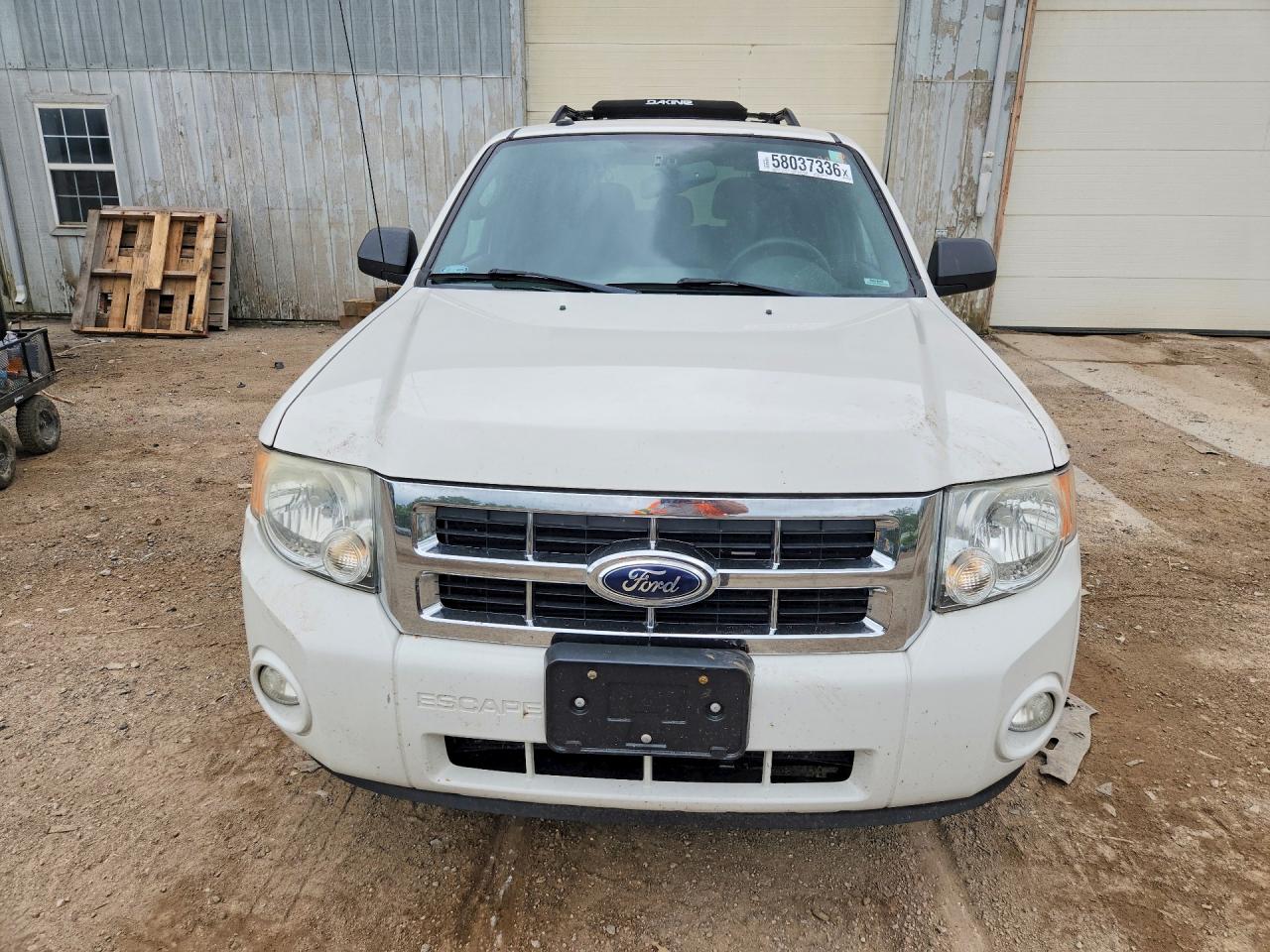 2012 Ford Escape Xlt White vin: 1FMCU0D73CKB96903